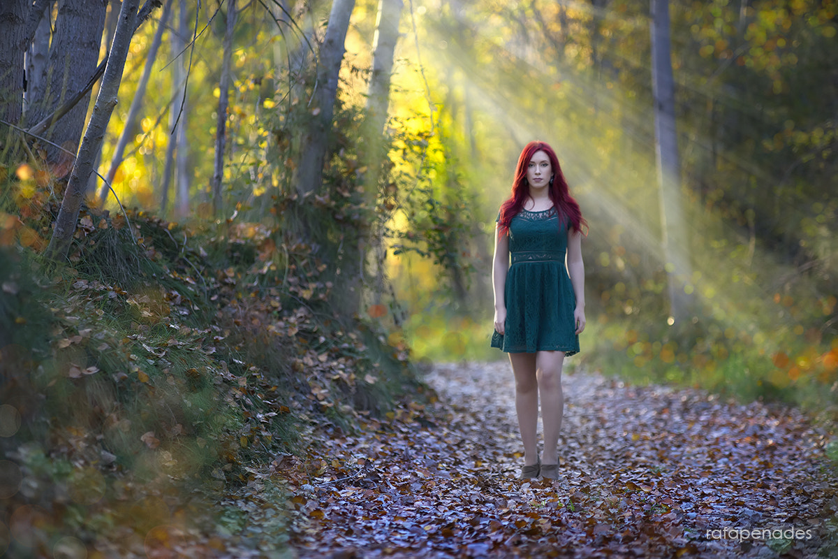 Minolta/Sony AF 70-200mm F2.8 G sample photo. A walk in autumn photography