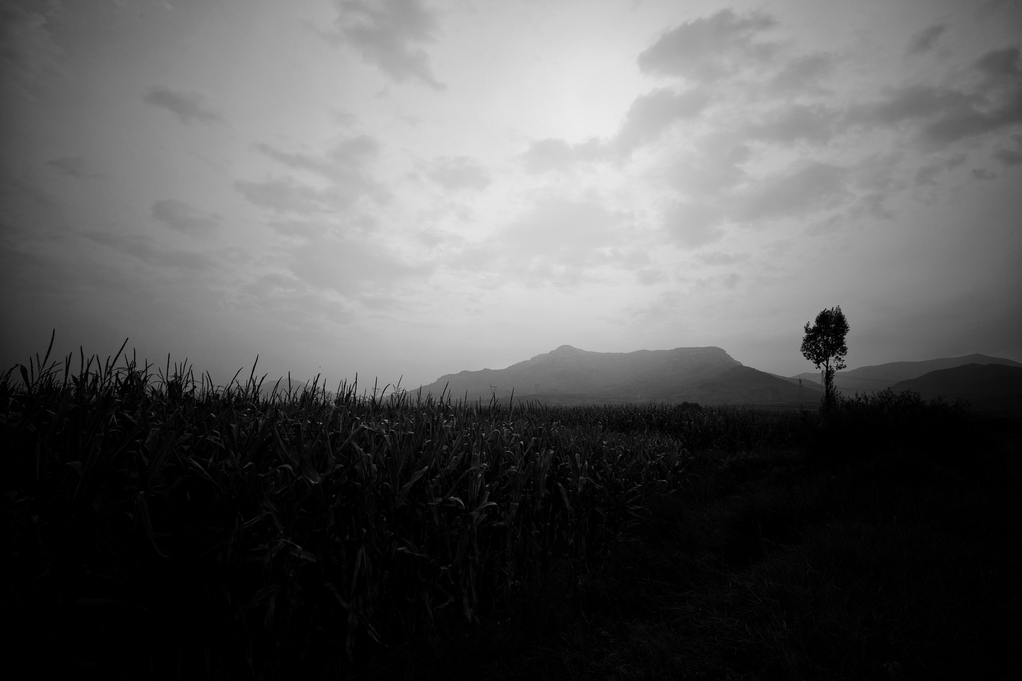 Canon EF 16-35mm F4L IS USM sample photo. 远方 photography