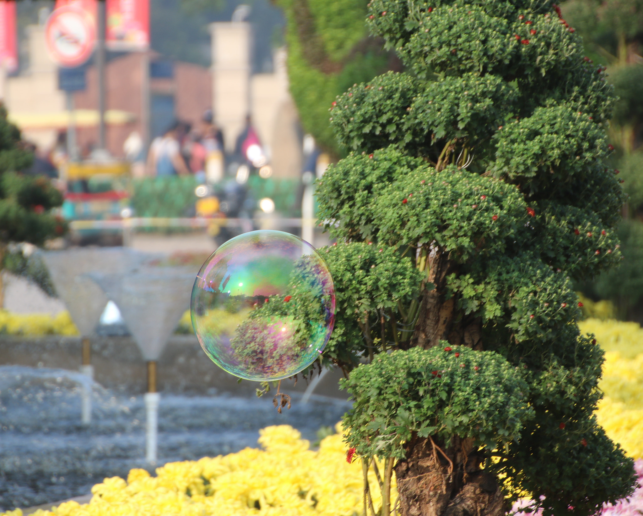 Canon EOS 750D (EOS Rebel T6i / EOS Kiss X8i) sample photo. Street fall photography