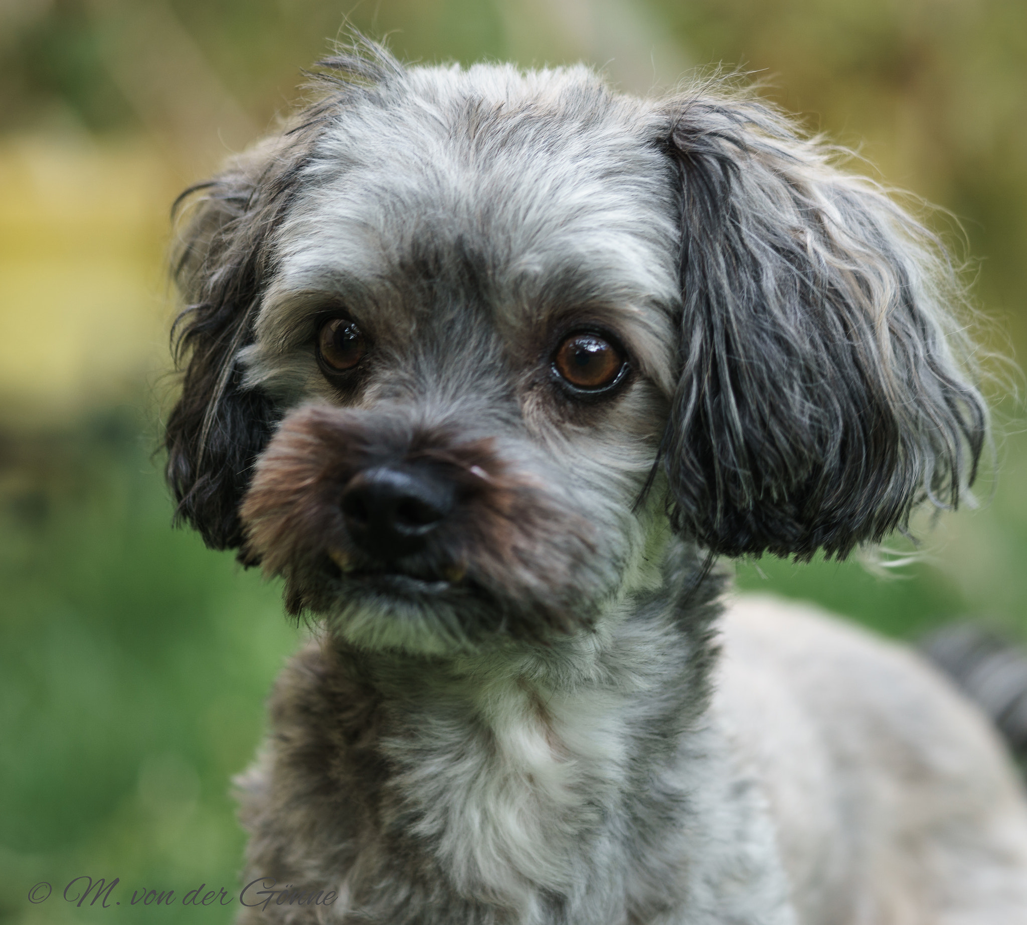 Sony a6000 + Sony FE 90mm F2.8 Macro G OSS sample photo. Karlchen photography