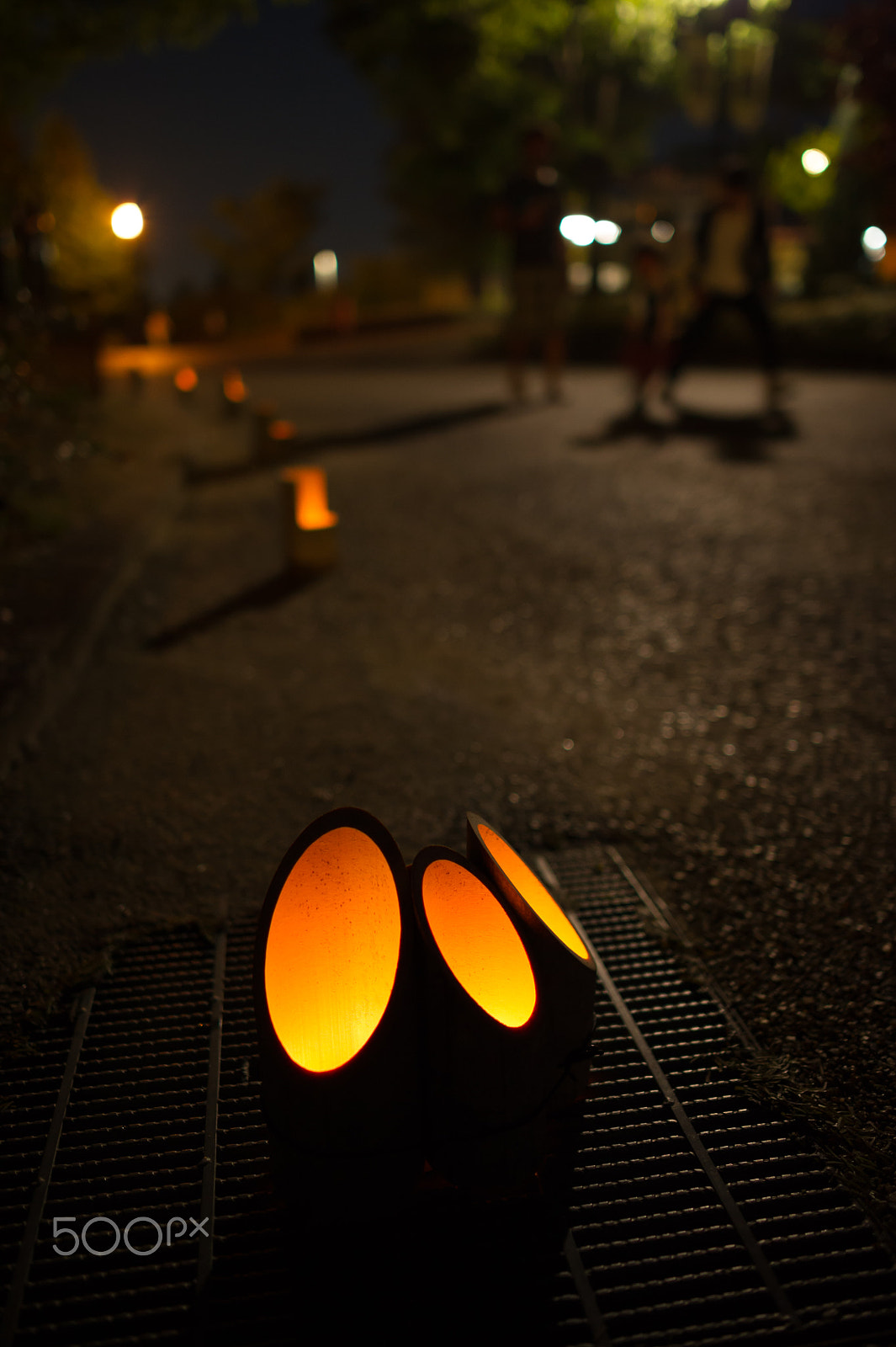 Nikon D3S sample photo. Night walking photography