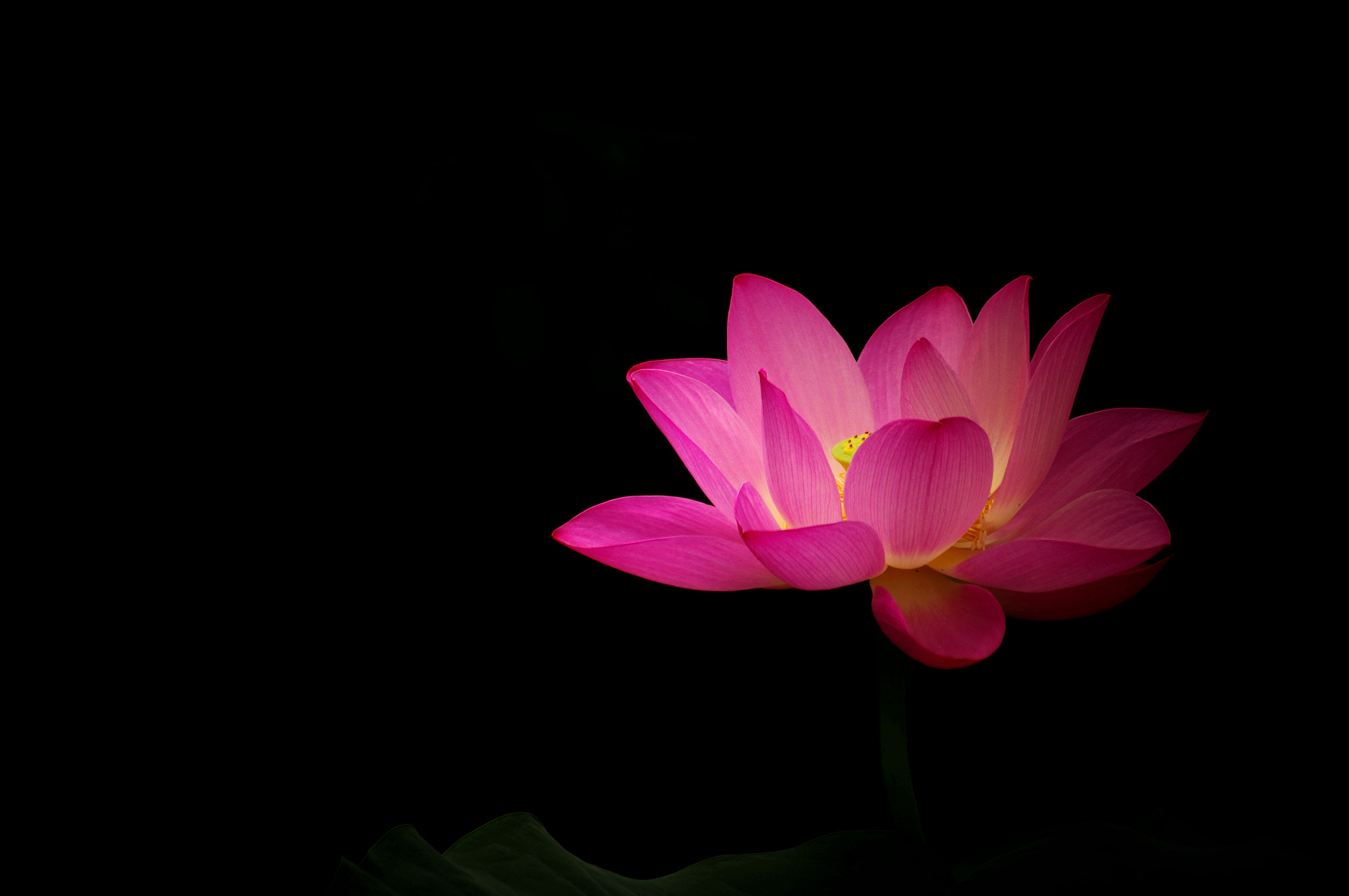 Pentax smc DA 50-200mm F4-5.6 ED WR sample photo
