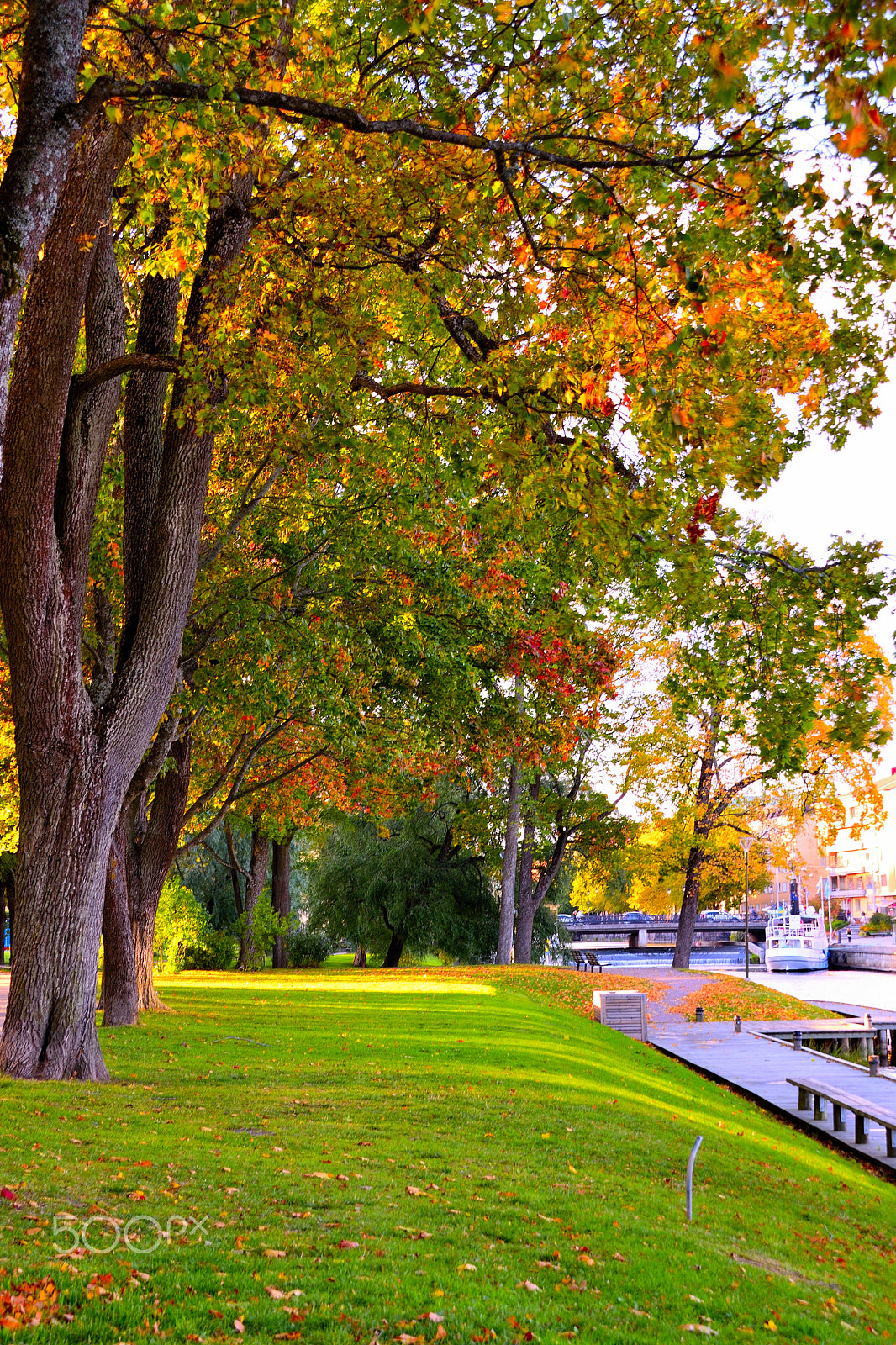 Sigma 18-200mm F3.5-6.3 DC OS HSM sample photo. Autumn fall photography