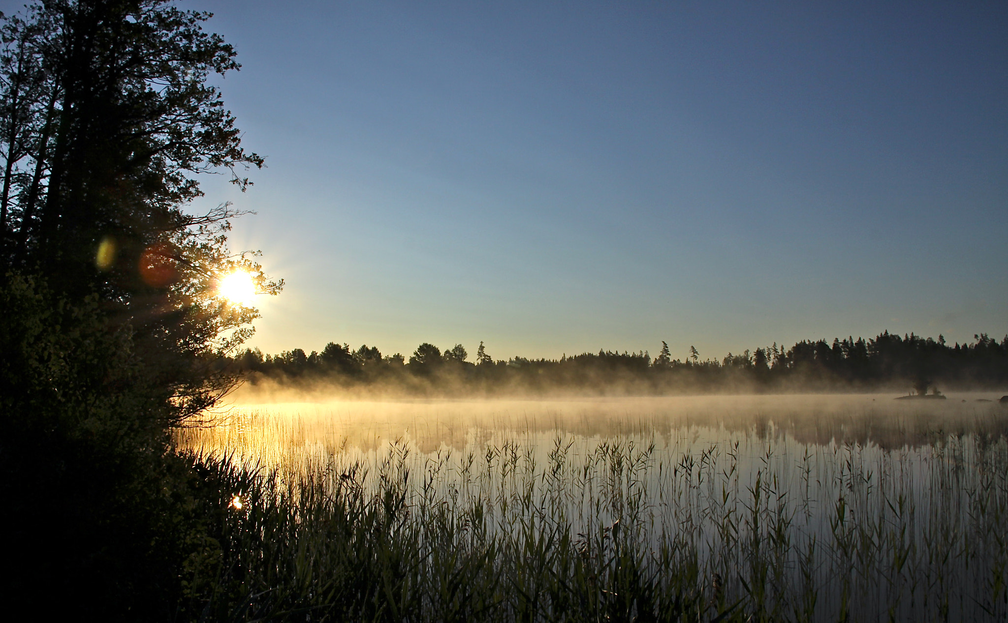 Canon EOS 50D sample photo. Misty morning photography