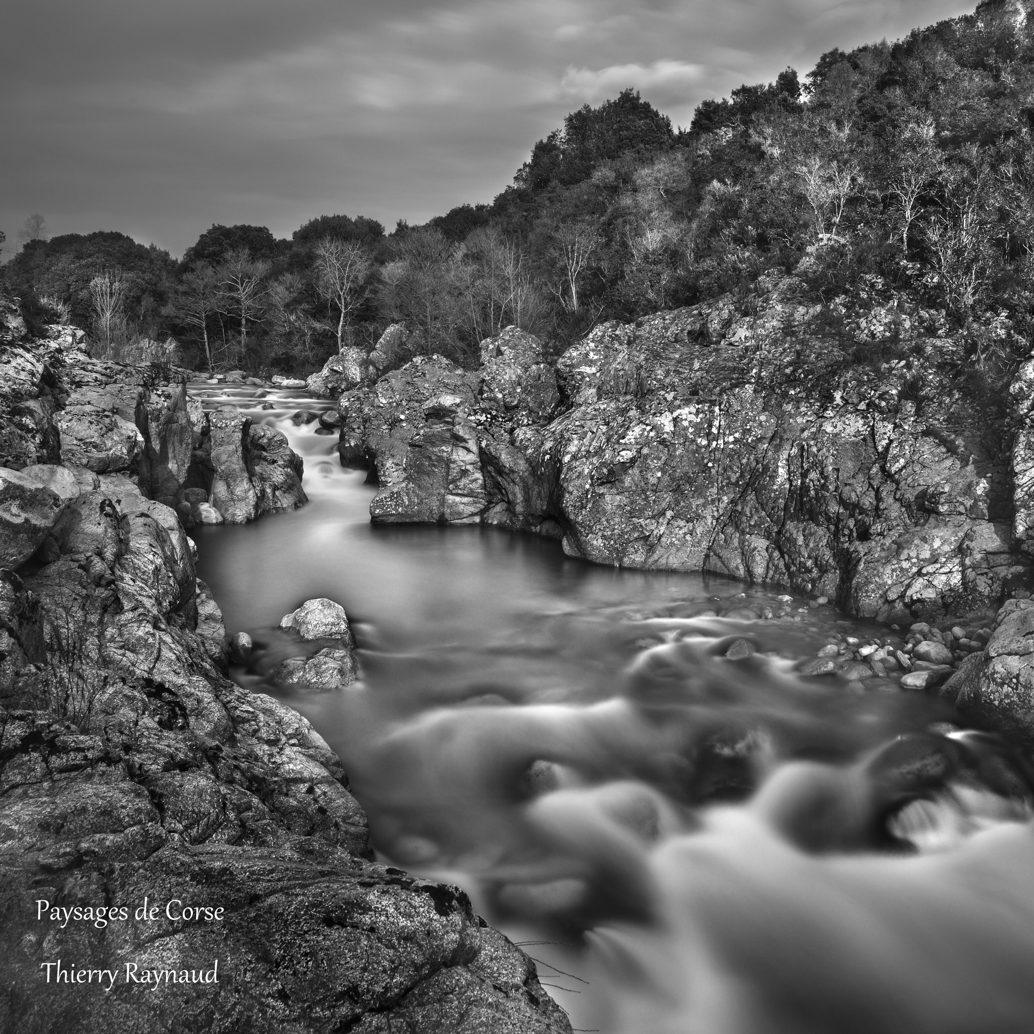 AF Zoom-Nikkor 24-120mm f/3.5-5.6D IF sample photo. La gravona photography