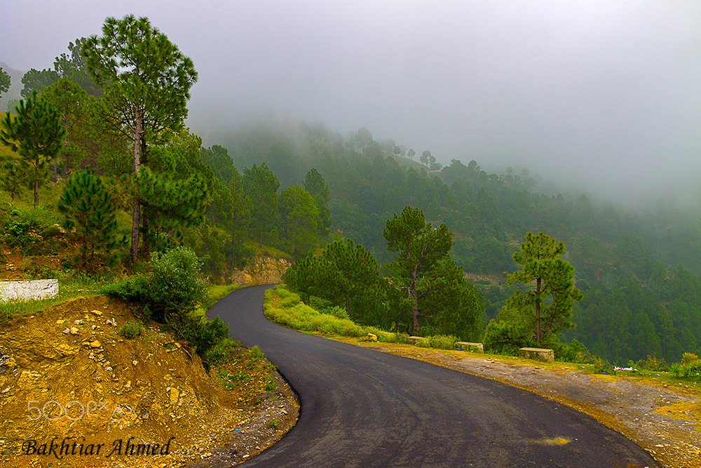Canon EF-S 17-55mm F2.8 IS USM sample photo. A foggy morning photography