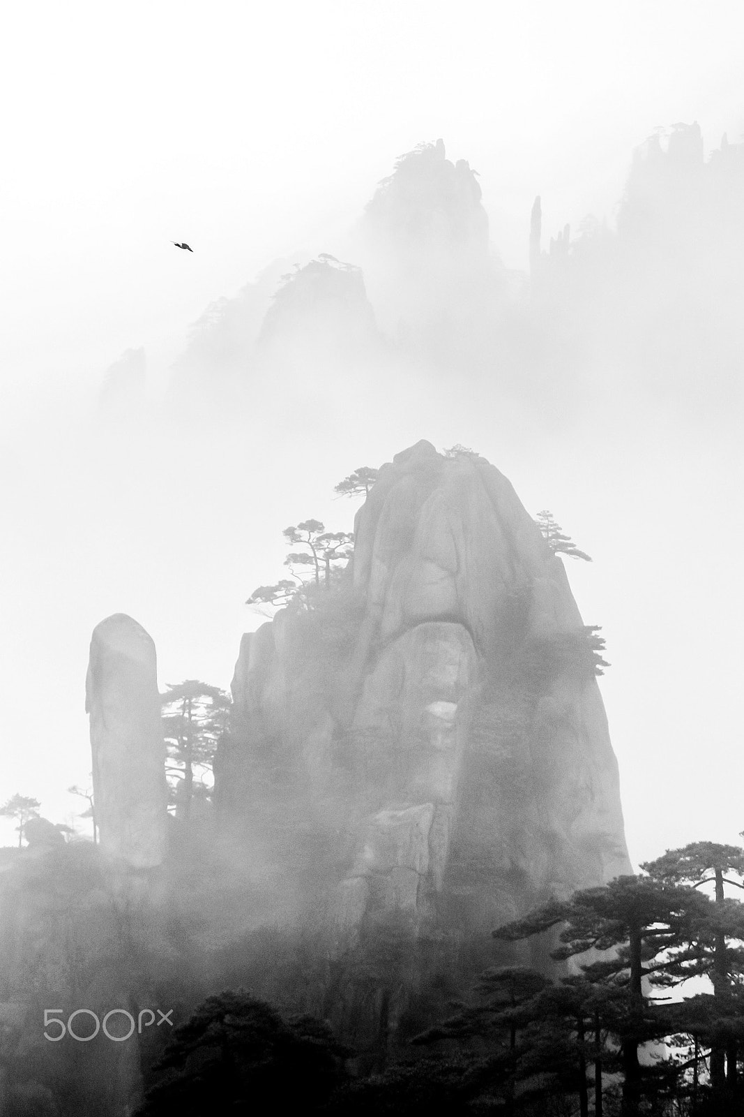 Canon EOS-1D Mark IV sample photo. Mount huang in mist photography