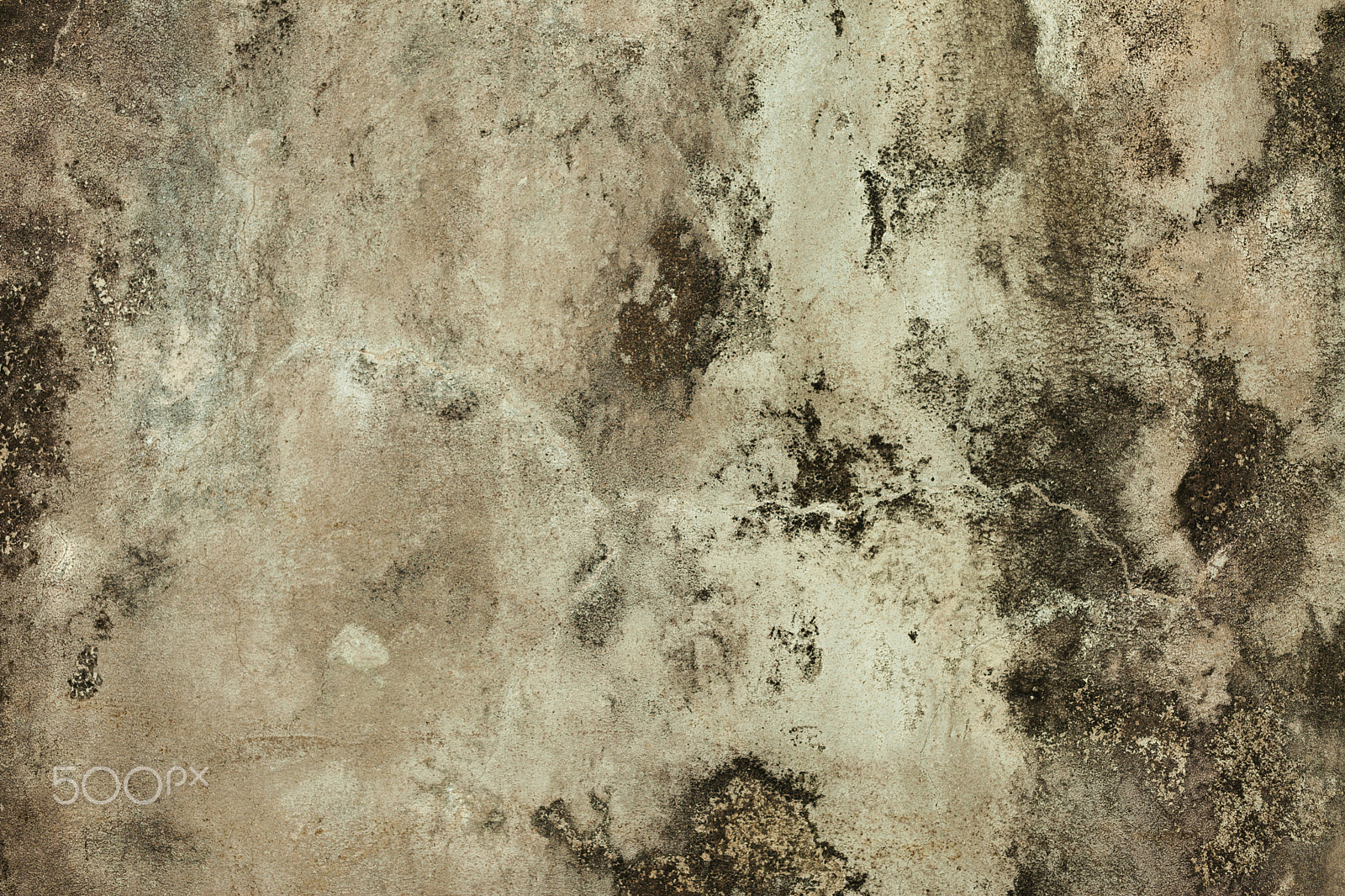 Canon EOS 5D Mark II + Canon EF 100mm F2.8L Macro IS USM sample photo. Grunge cracked concrete wall photography