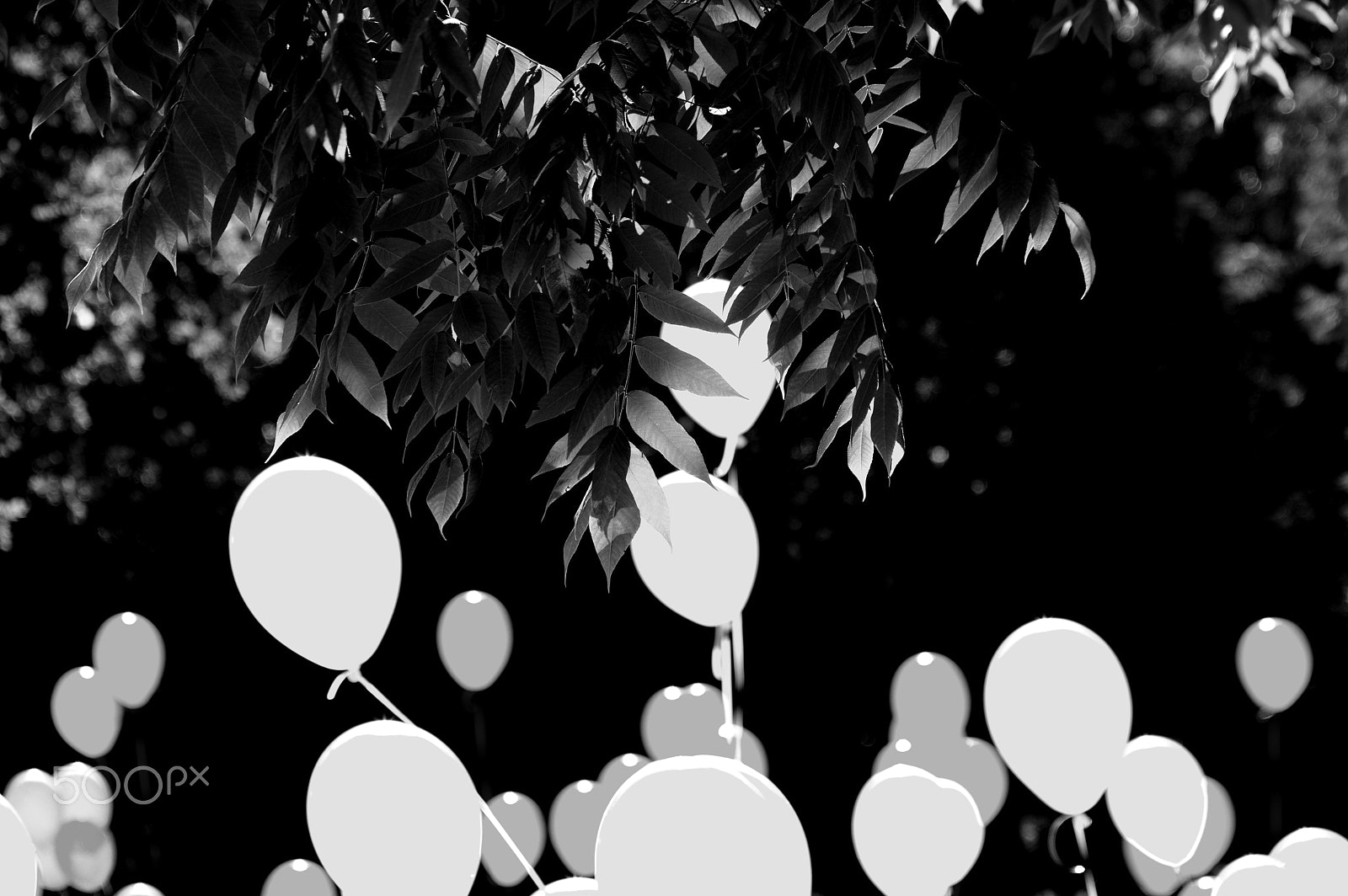 Samsung/Schneider D-XENON 50-200mm F4-5.6 ED sample photo. Party photography