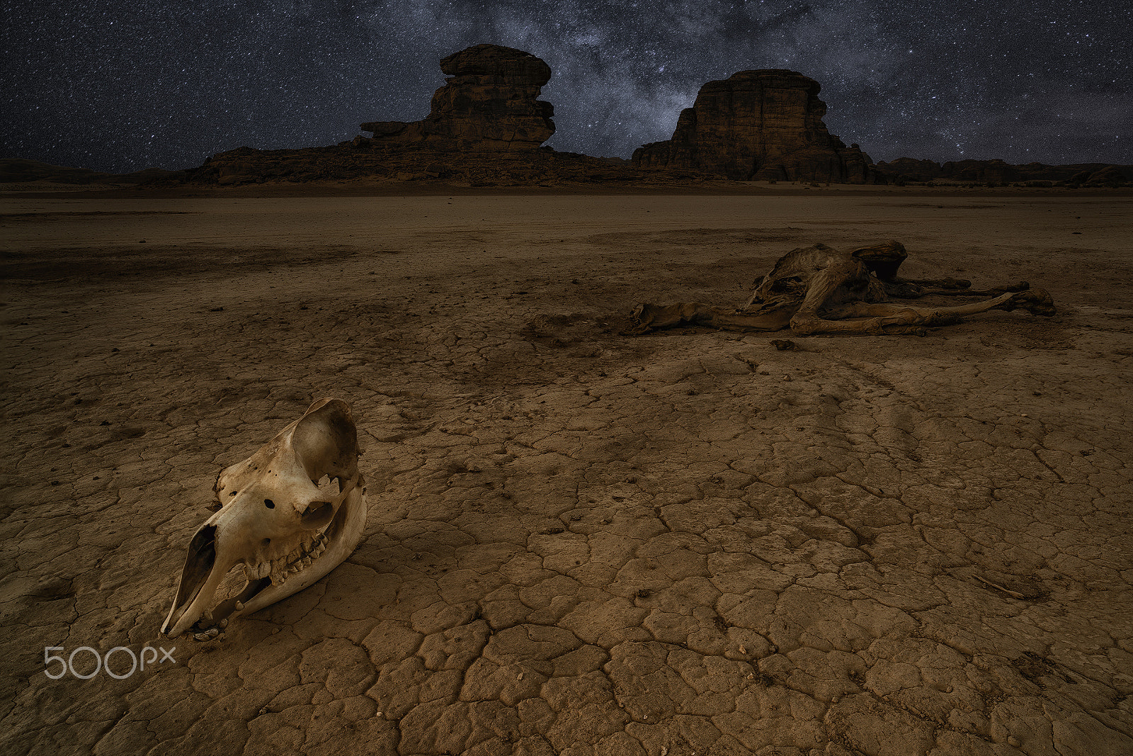 Nikon D800E sample photo. Harshness of the desert photography