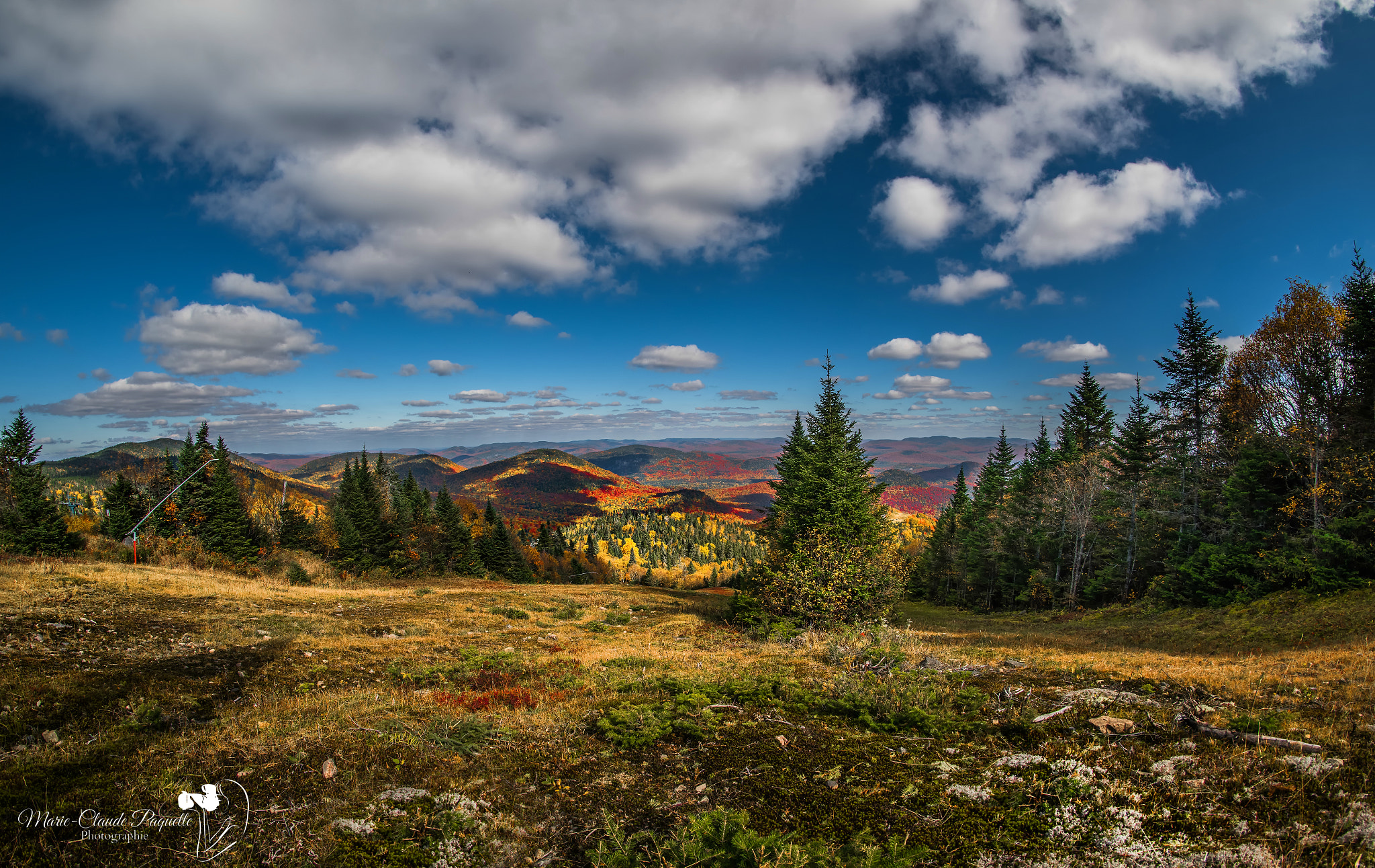 Nikon D810 + Samyang 12mm F2.8 ED AS NCS Fisheye sample photo. Mont-tremblant photography