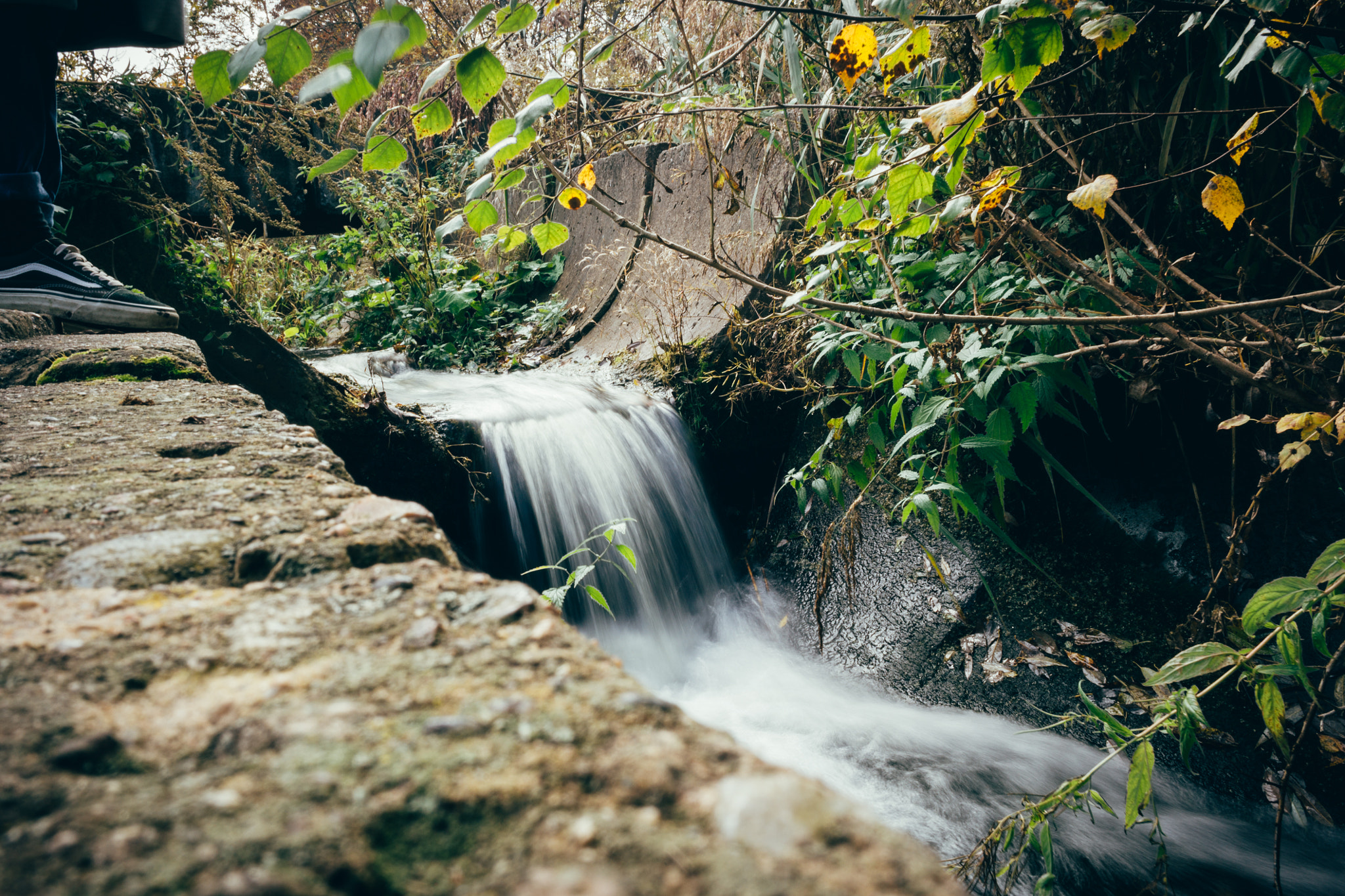 Samsung NX 20mm F2.8 Pancake sample photo. 1921 photography