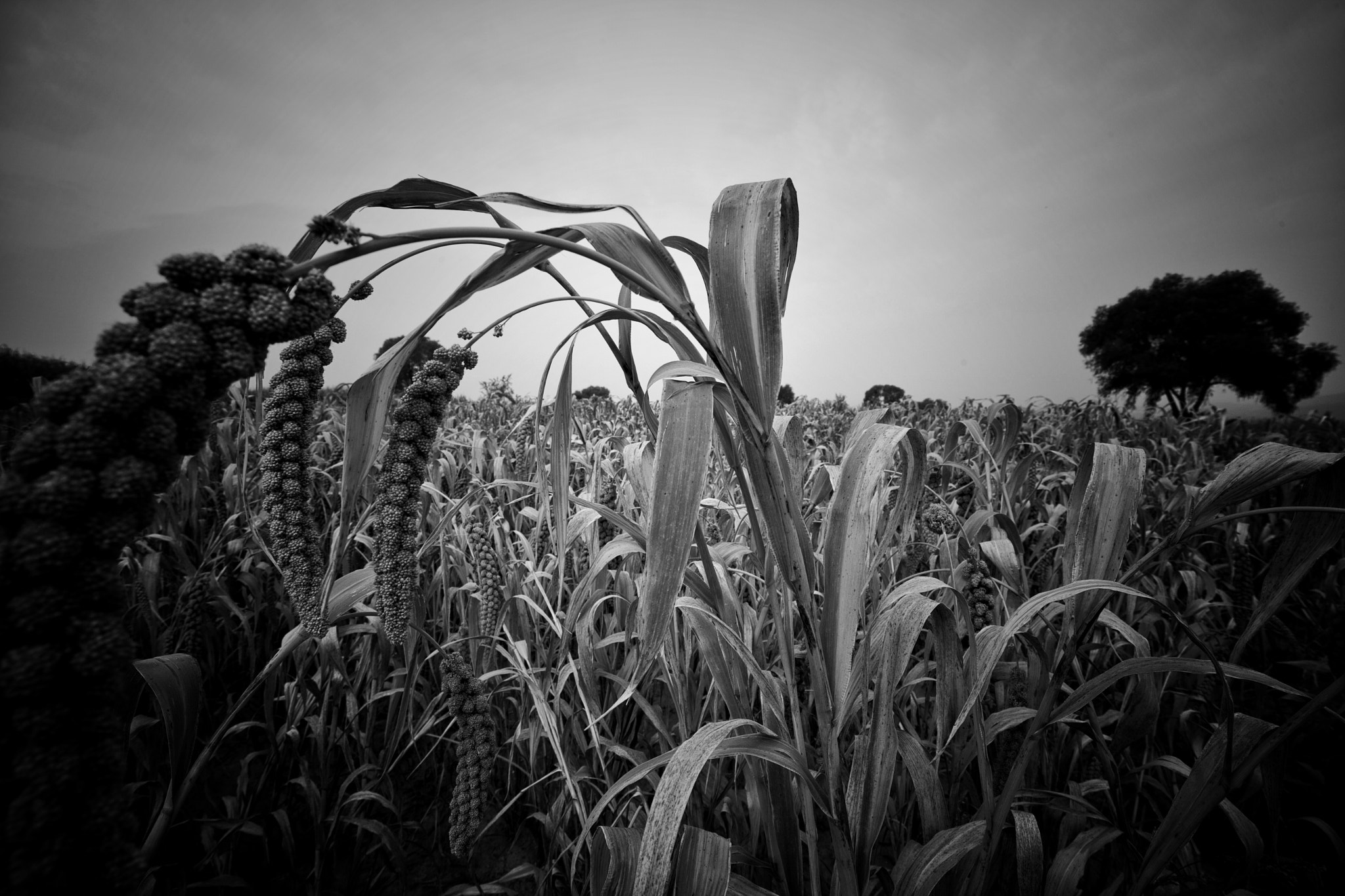 Canon EF 16-35mm F4L IS USM sample photo. 远方 photography