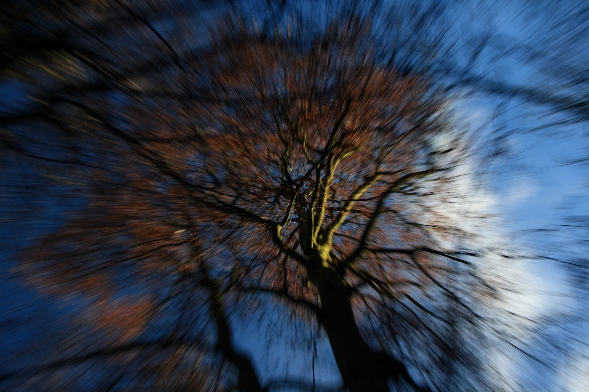 Canon EF-S 17-85mm F4-5.6 IS USM sample photo. Blur sumit photography