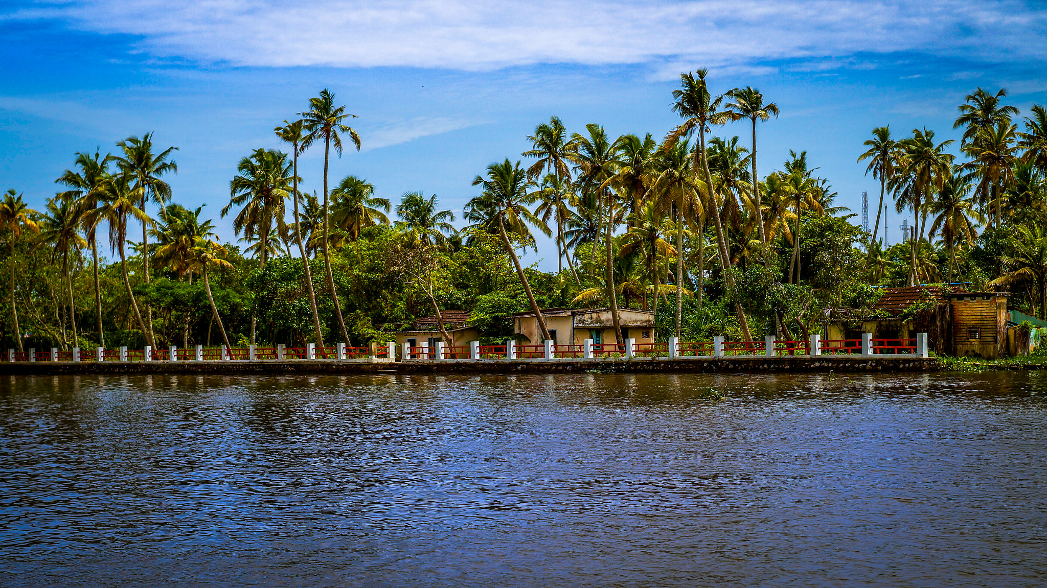 Sony SLT-A37 + Minolta AF 50mm F1.7 sample photo. Paradise photography