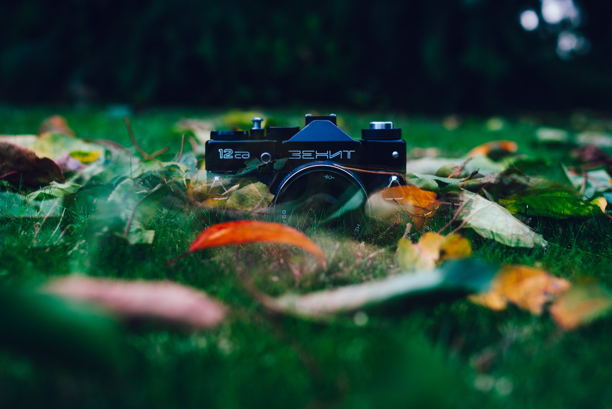 Canon EOS 50D + Sigma 35mm F1.4 DG HSM Art sample photo. Autumn cliche photography