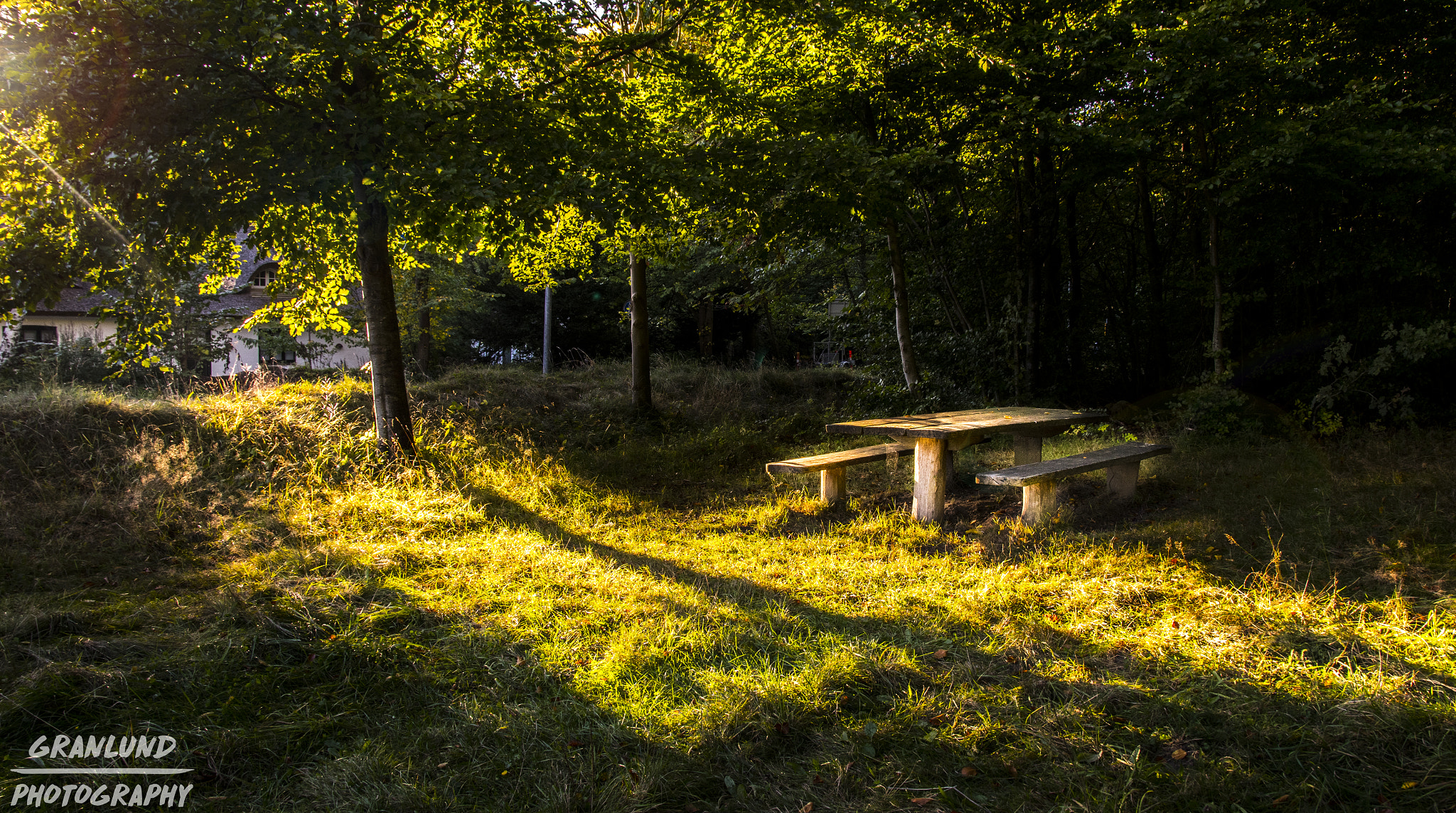 Sigma 17-50mm F2.8 EX DC OS HSM sample photo. The sun always shines photography