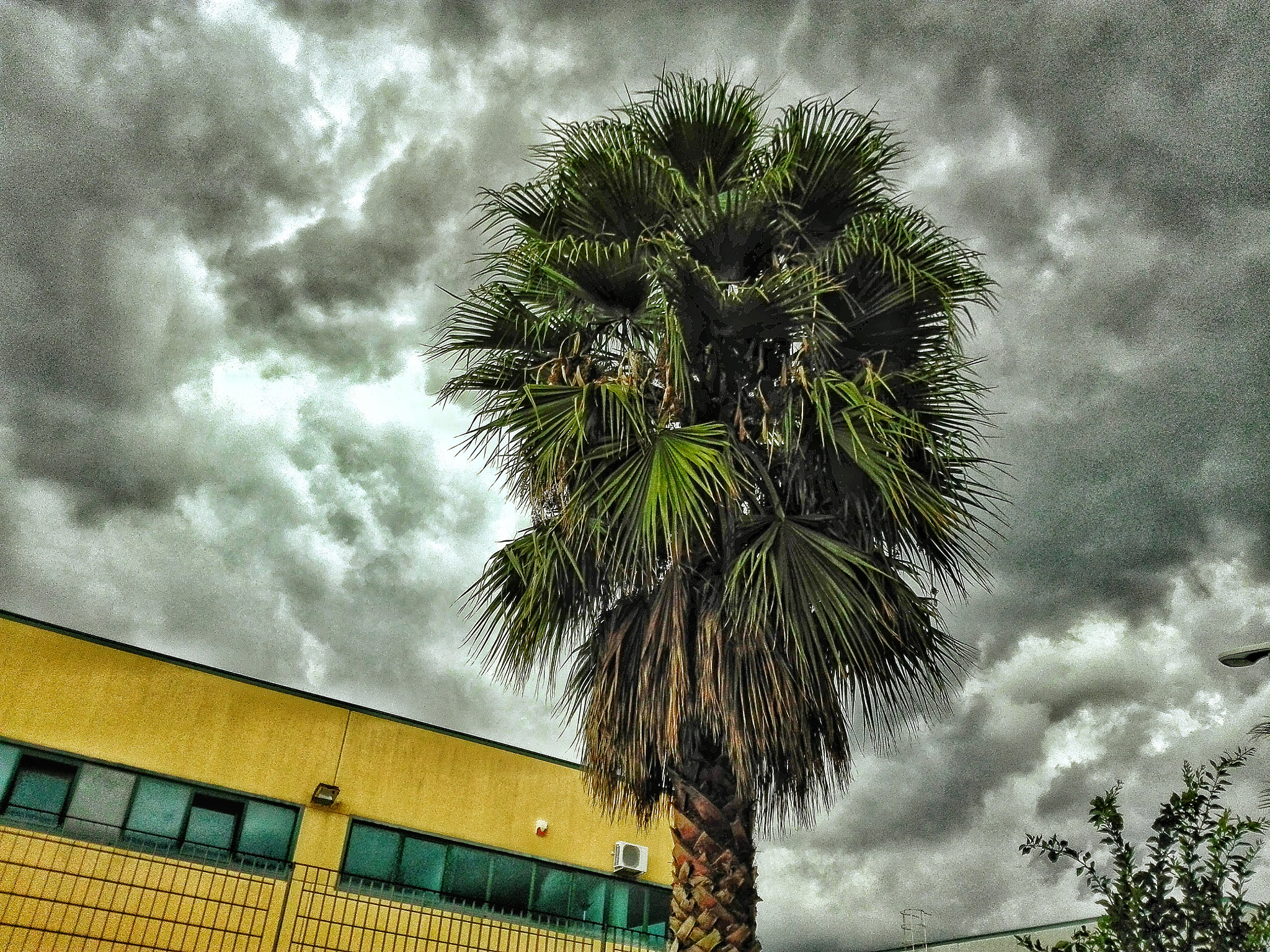 HUAWEI Cherry Mini sample photo. Temporale!!!! photography