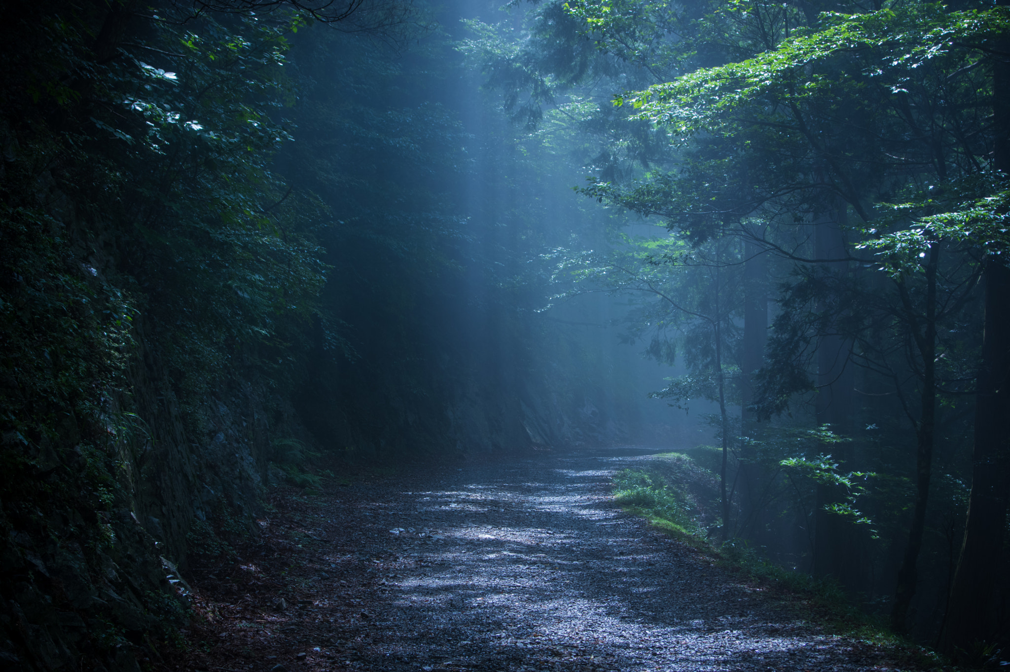 Pentax K-3 II sample photo. Light photography