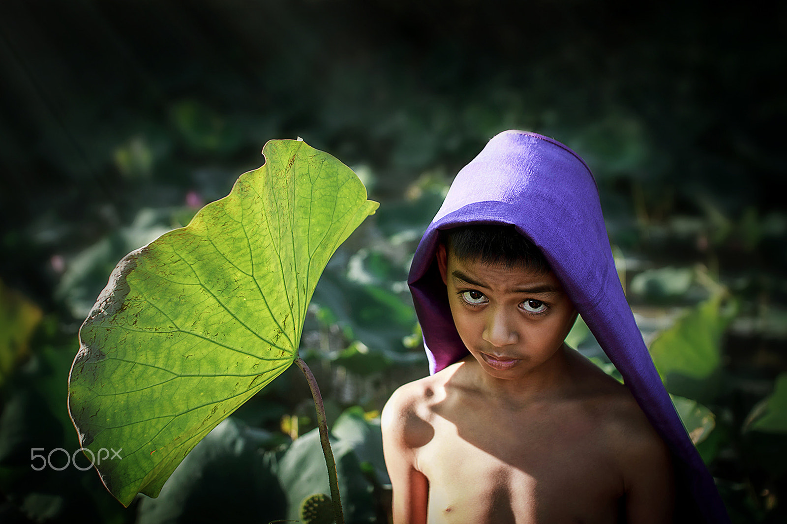 Sigma 30mm F1.4 EX DC HSM sample photo. Expression of eyes photography