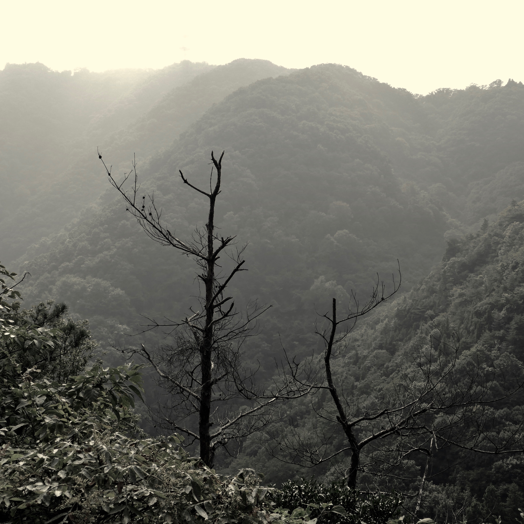 Panasonic DMC-TX1 sample photo. 山の中腹 in the mountains photography