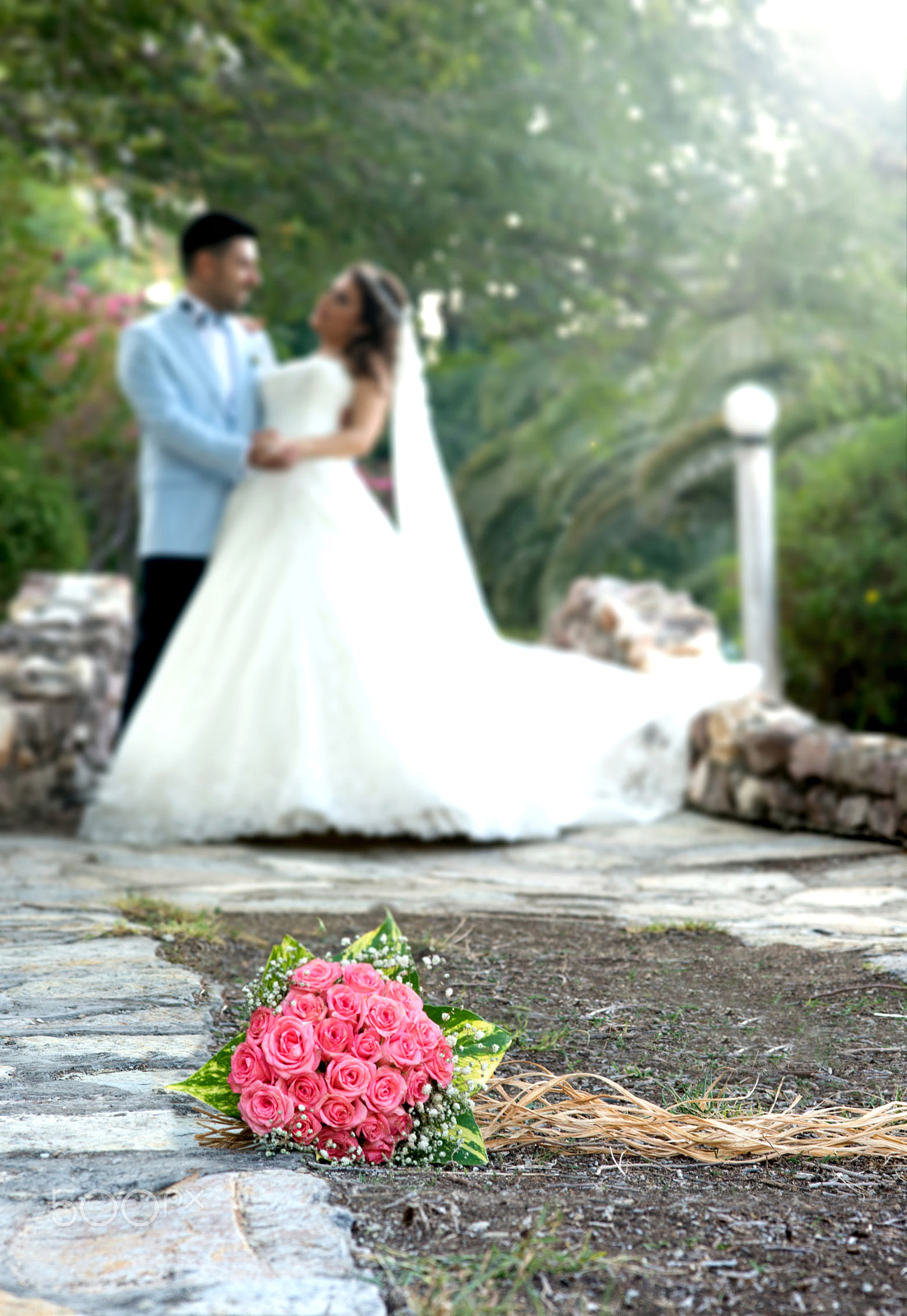Nikon D800 + Sigma 105mm F2.8 EX DG Macro sample photo. Rose photography