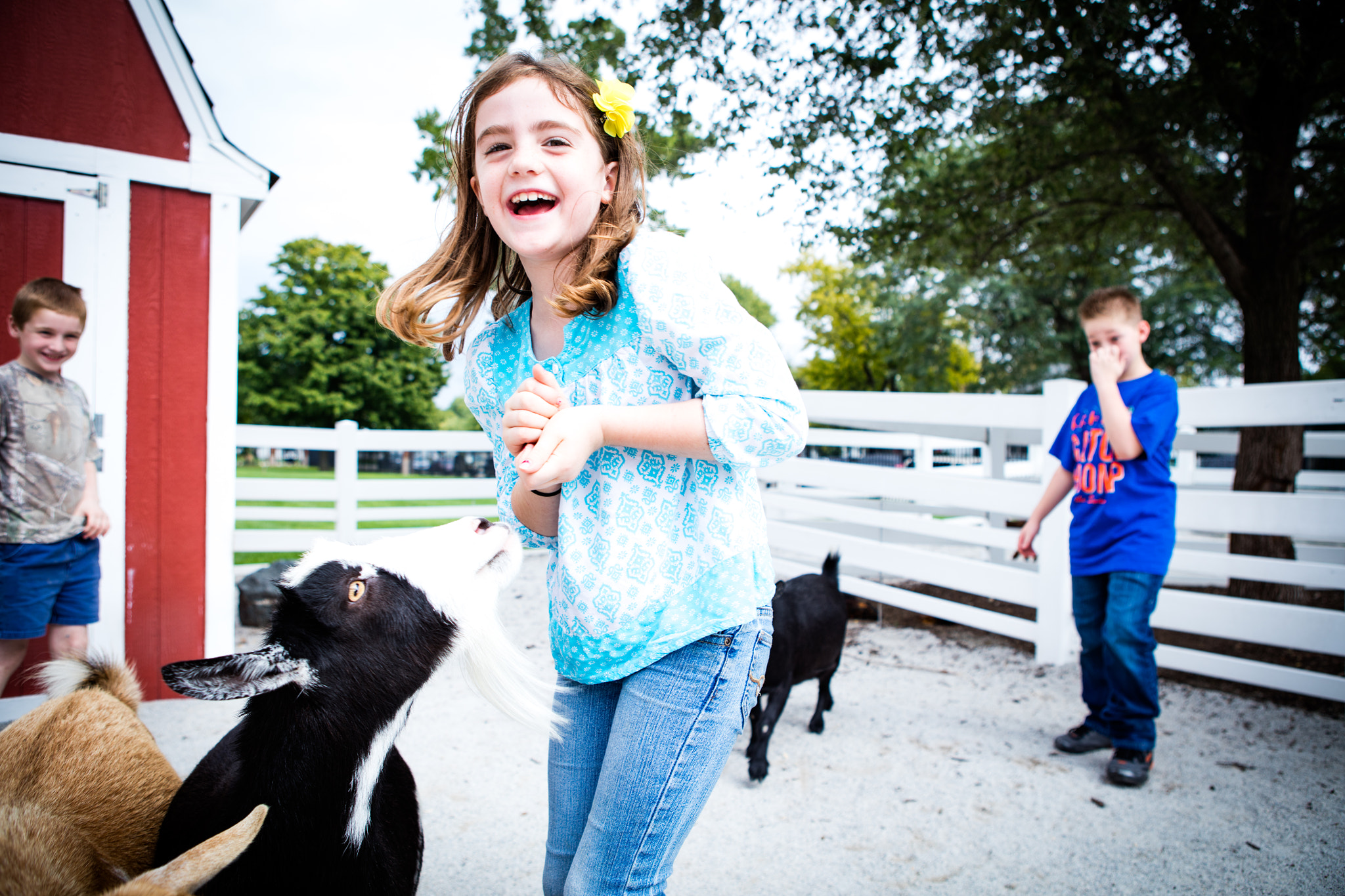 Canon EOS 5DS sample photo. Goat playing with young girl photography