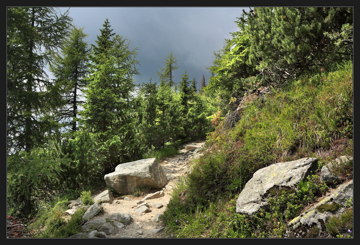 Canon EOS 450D (EOS Rebel XSi / EOS Kiss X2) sample photo. Tatra mountains ii photography