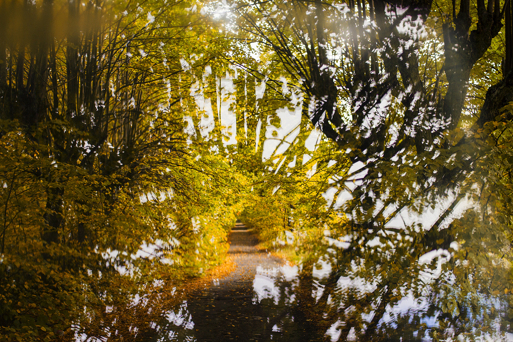 Canon EOS 60D + Canon EF 35mm F2 sample photo. Autumn photography