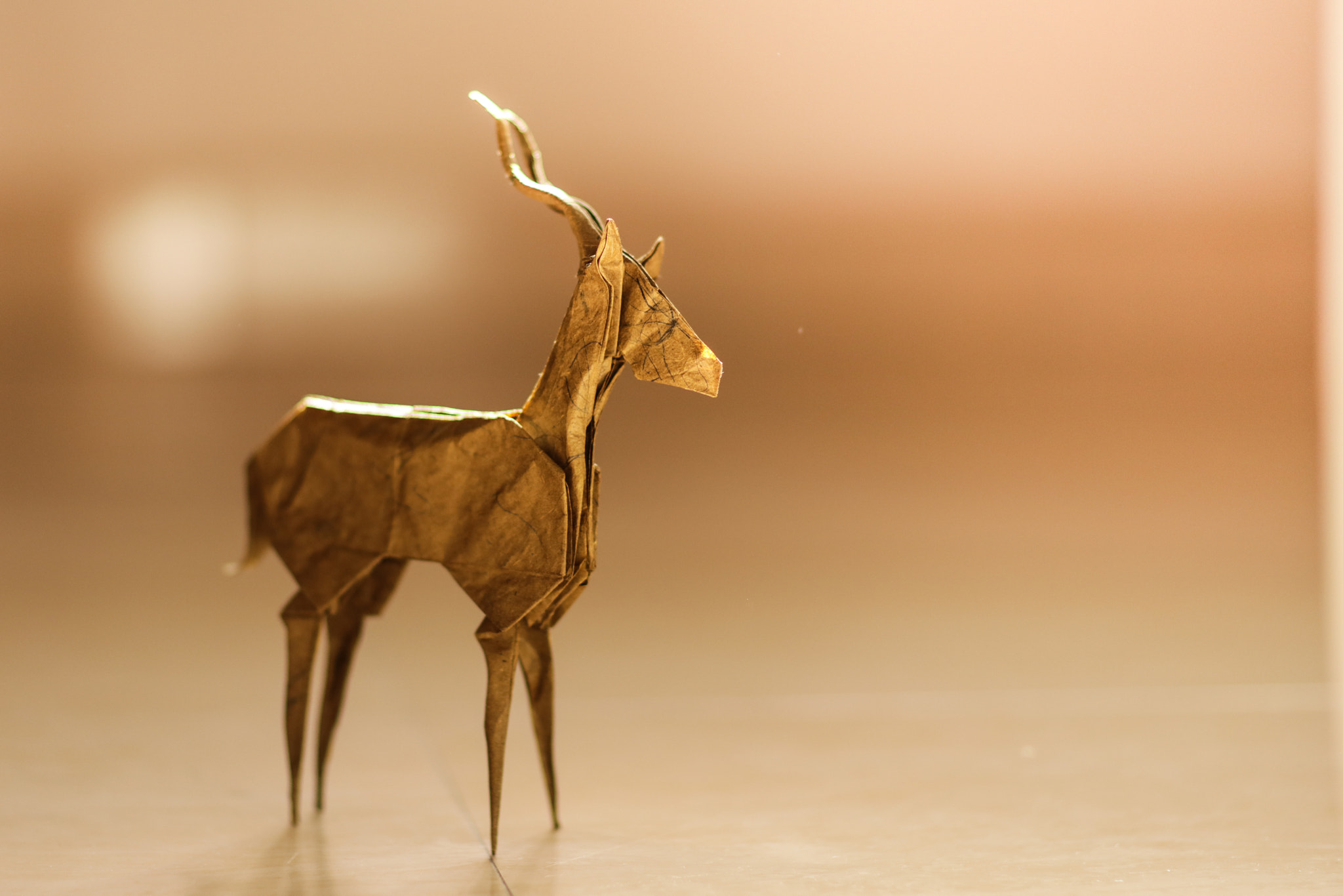 Canon EOS 5DS + Canon EF 85mm F1.2L II USM sample photo. Origami gazelle photography