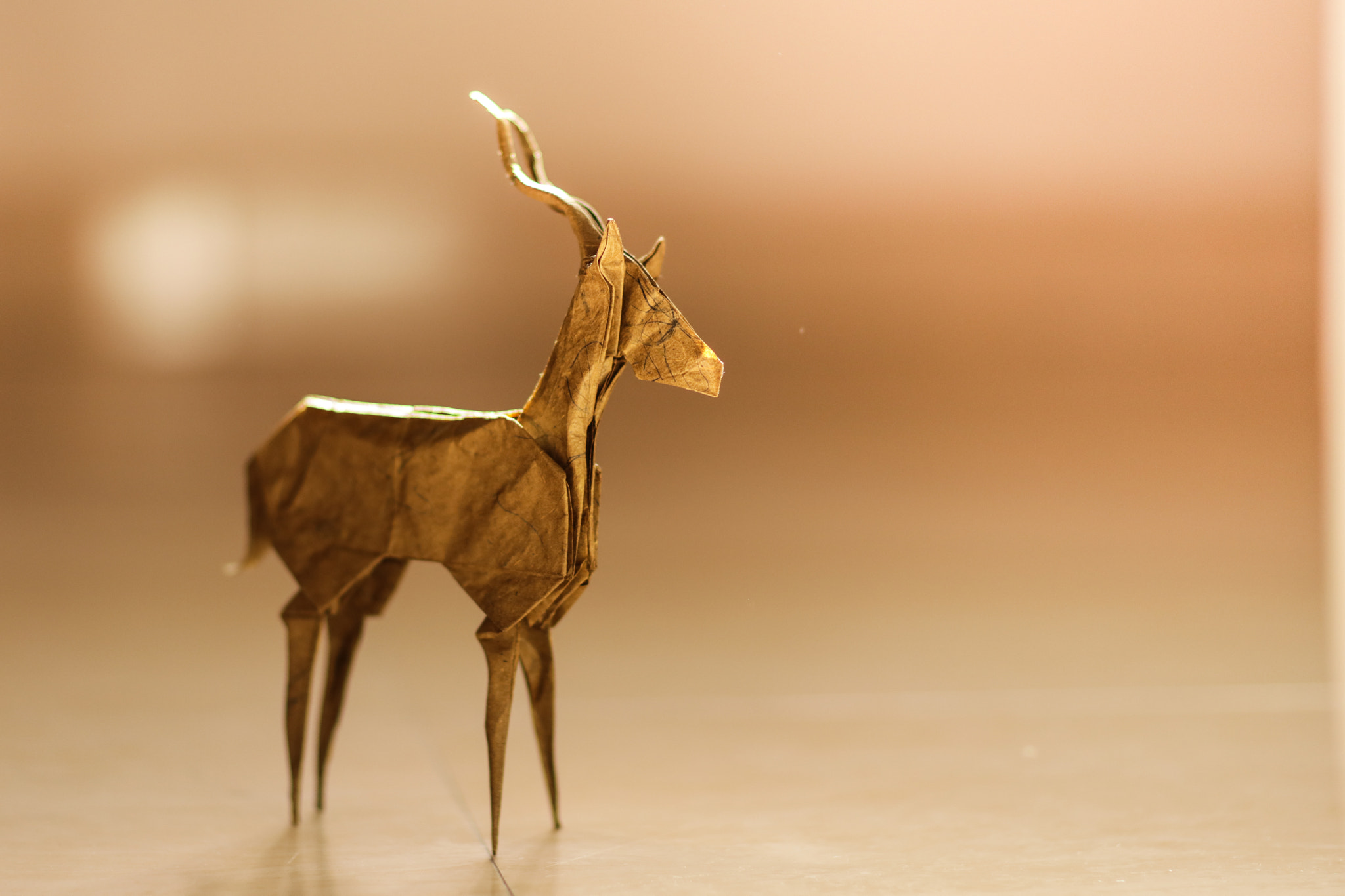 Canon EOS 5DS sample photo. Origami gazelle photography