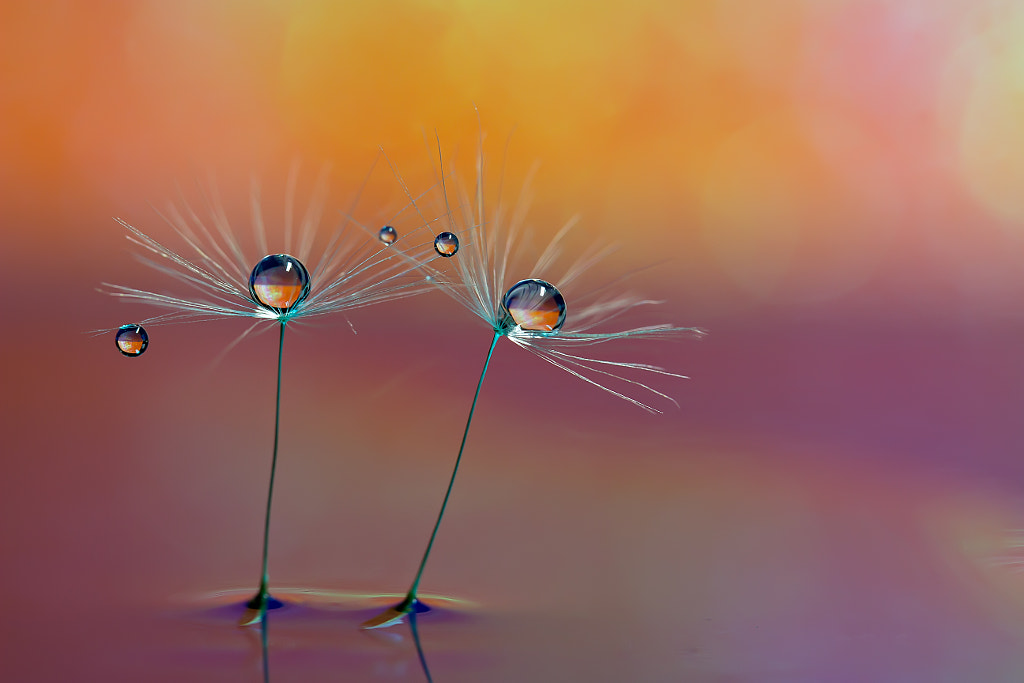 Warm feeling by Miki Asai on 500px.com