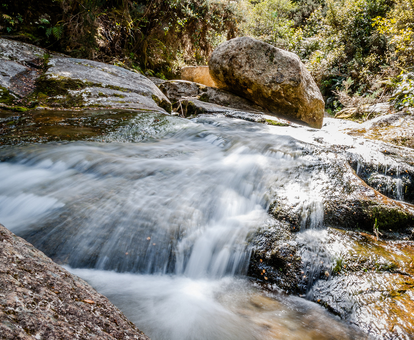 Sigma 18-200mm f/3.5-6.3 DC OS sample photo. Abel tasman photography