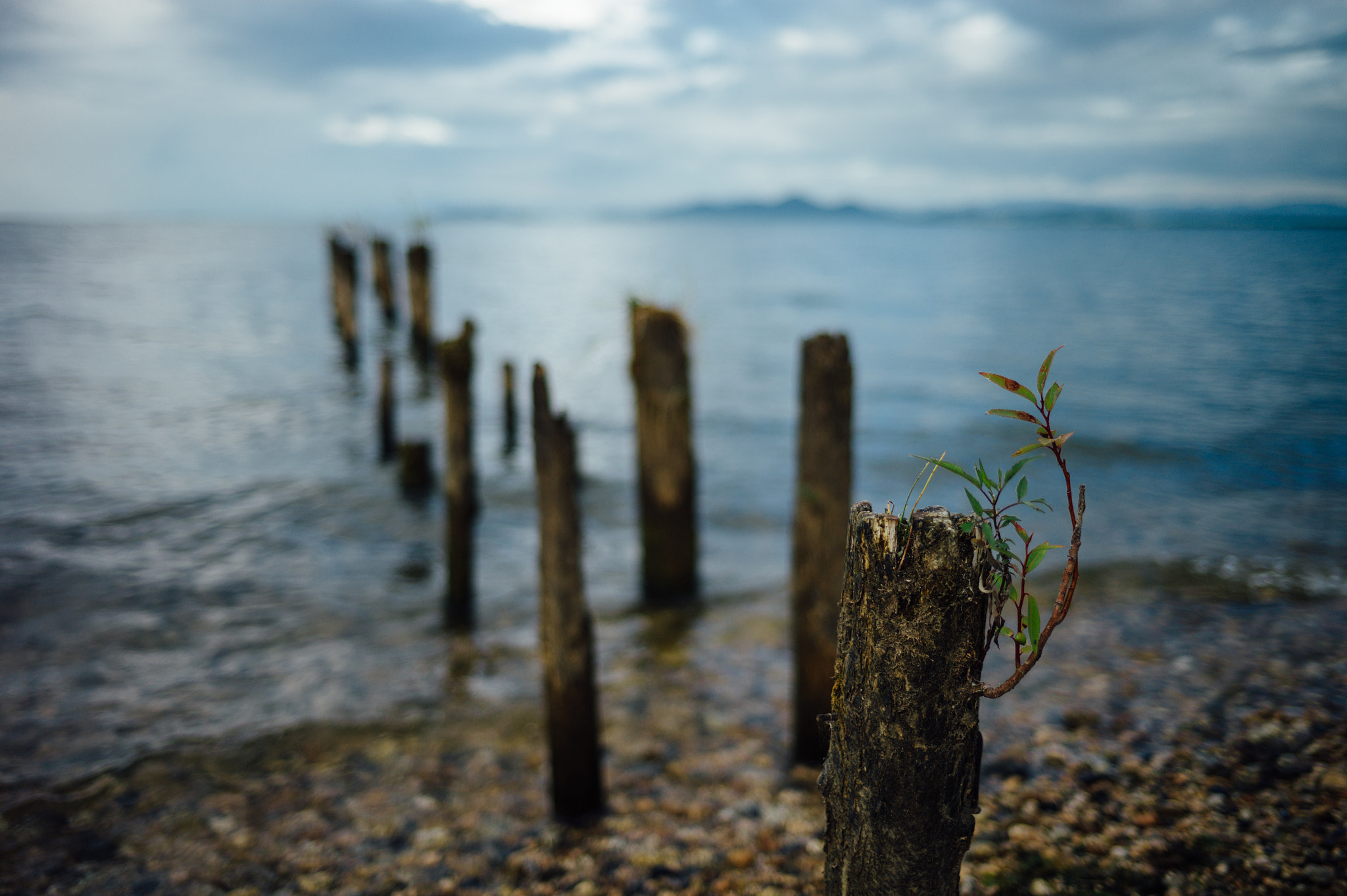 Leica M9 + Summicron-M 50mm f/2 (III) sample photo. Life photography
