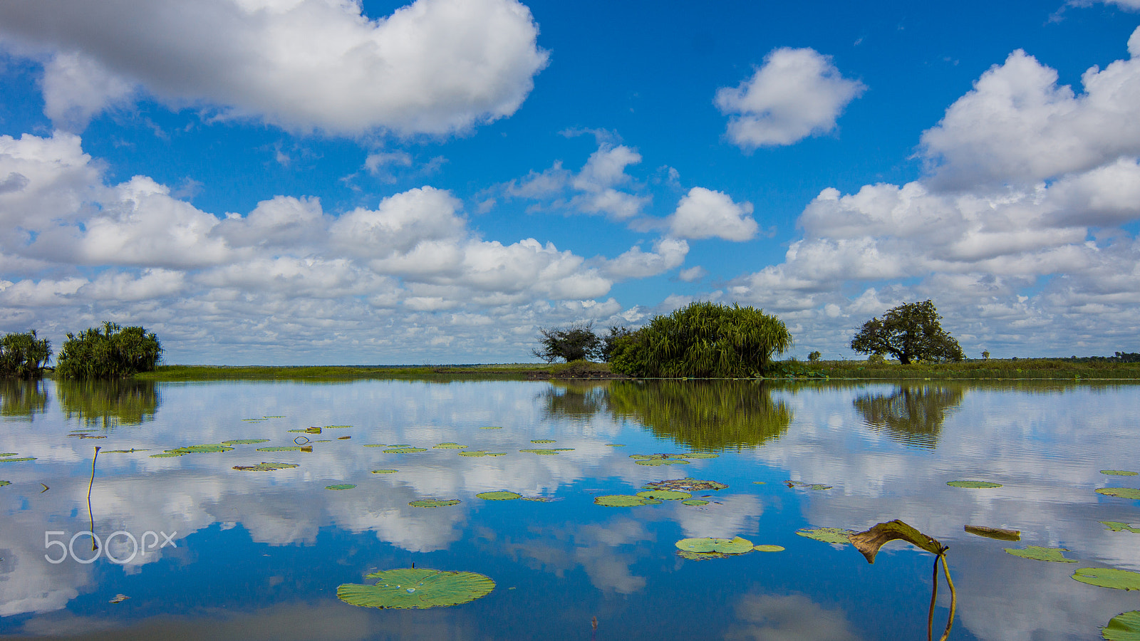 Sony SLT-A77 + 20mm F2.8 sample photo. Kakadu national park photography