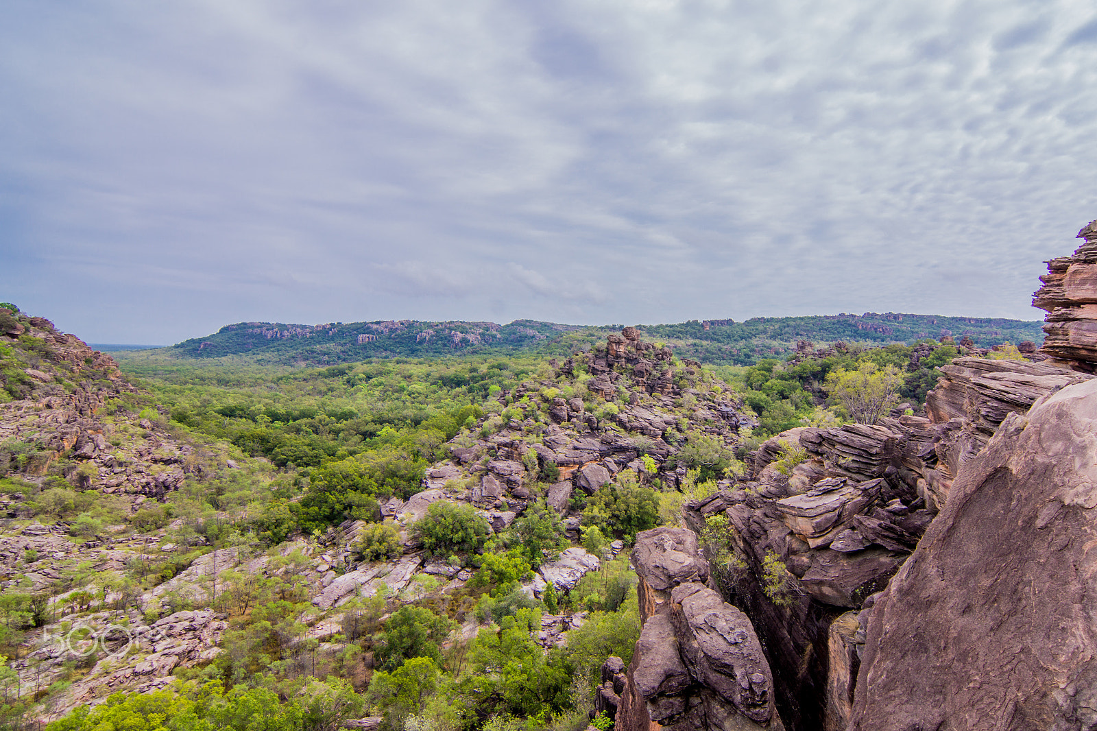 20mm F2.8 sample photo. Kakadu national park photography