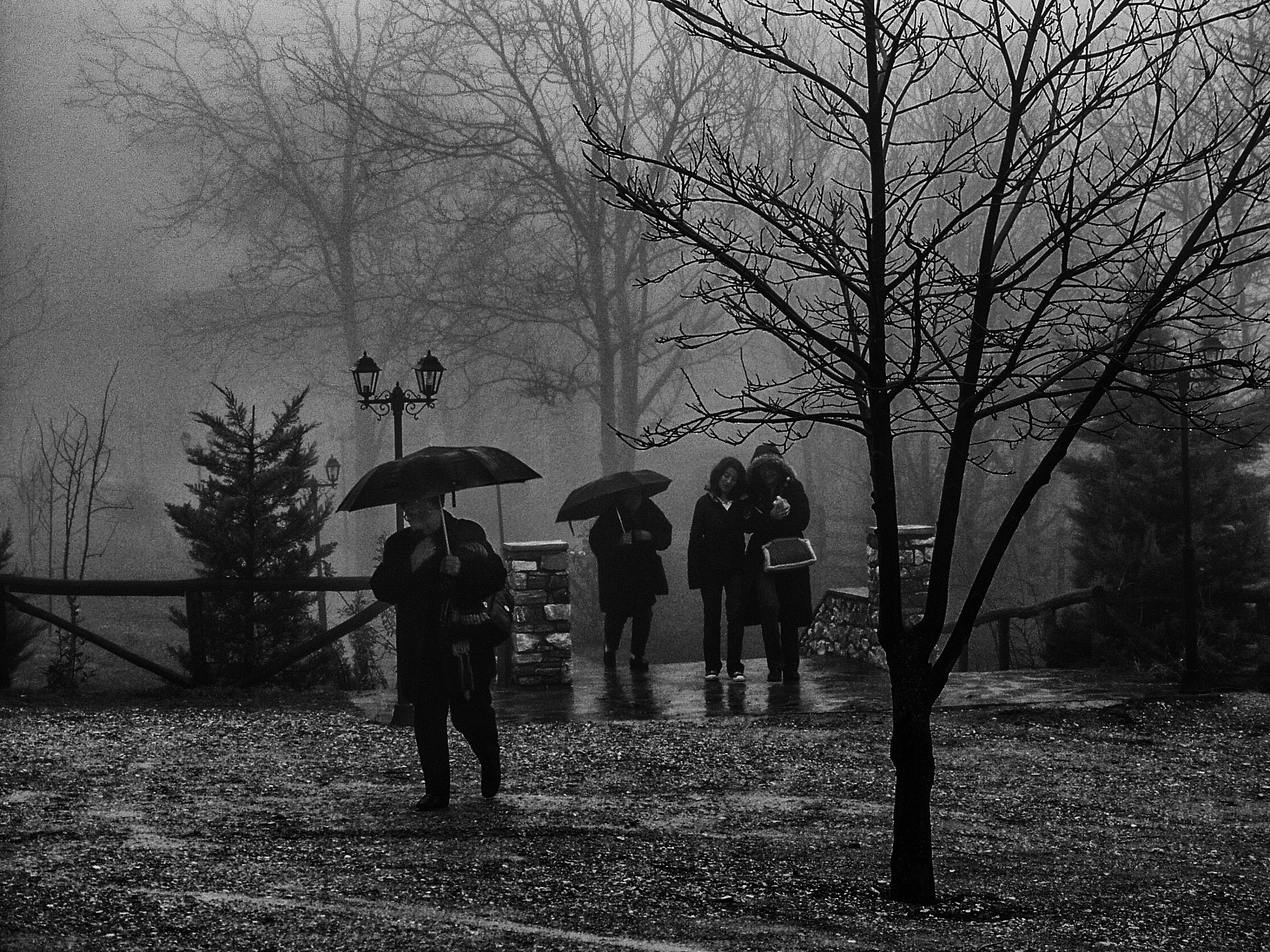 Olympus E-10 sample photo. Rain photography