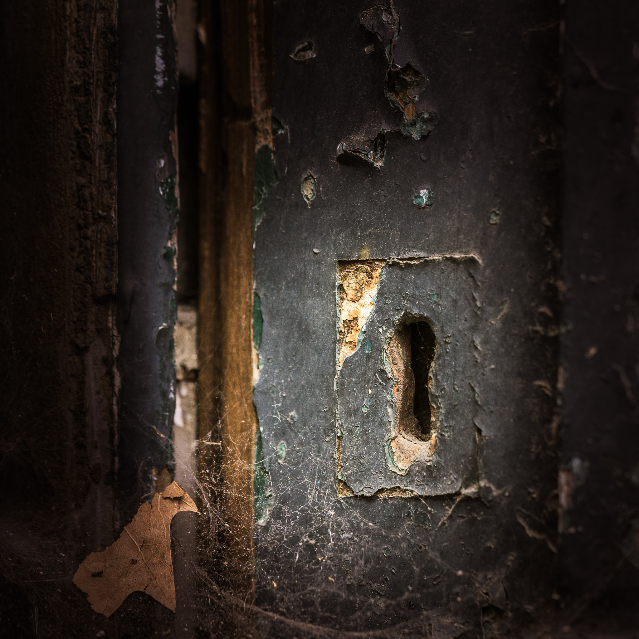 Sony a6000 + Sony FE 90mm F2.8 Macro G OSS sample photo. Old ways won't open new doors... photography
