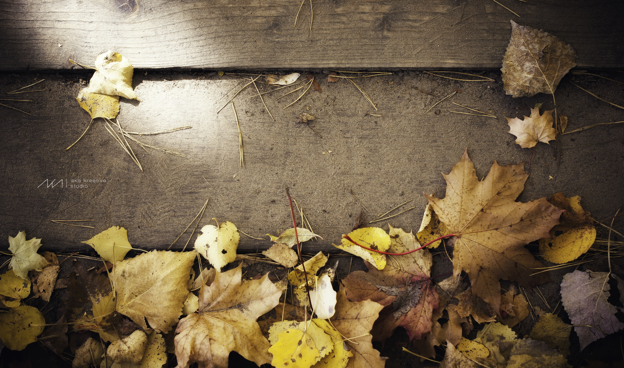 Sony Alpha DSLR-A230 + Sony DT 50mm F1.8 SAM sample photo. Autumn leaves photography