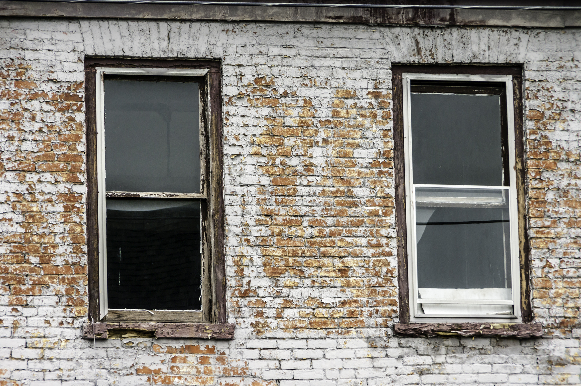 Pentax K20D sample photo. Untitled photography