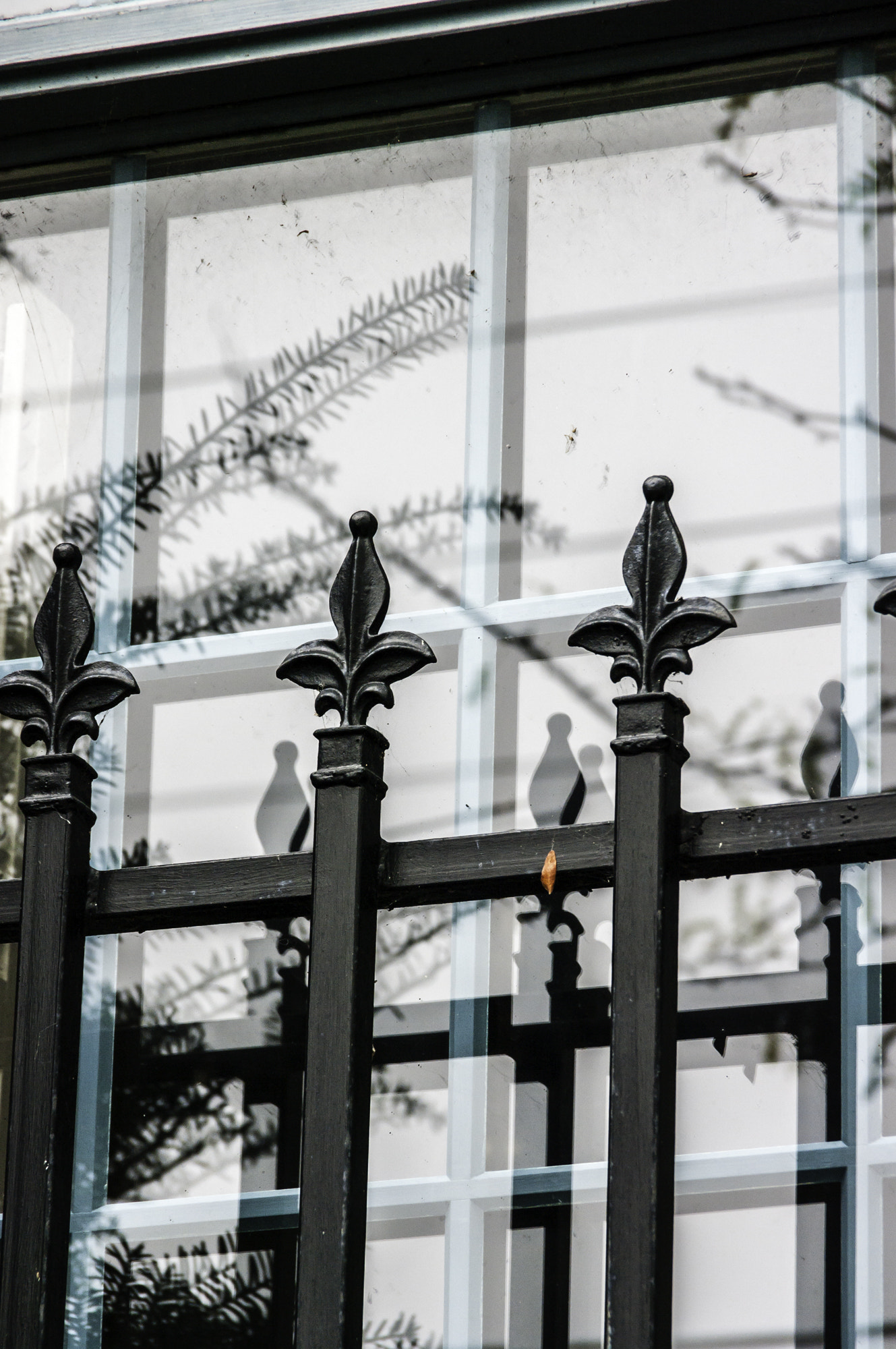 Pentax K20D sample photo. Untitled photography