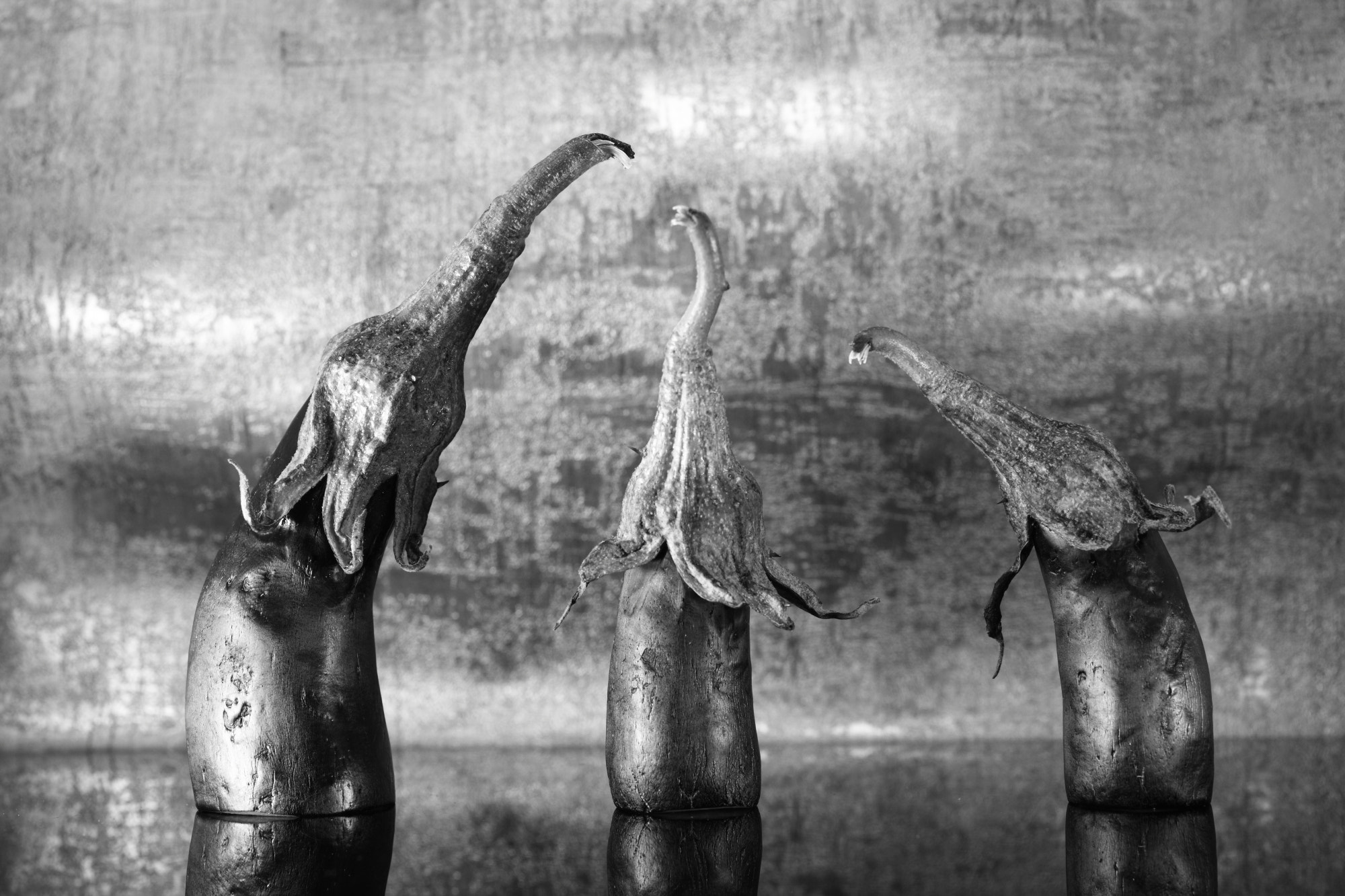 Canon EF 50mm F2.5 Macro sample photo. Eggplant reflecting elephant photography