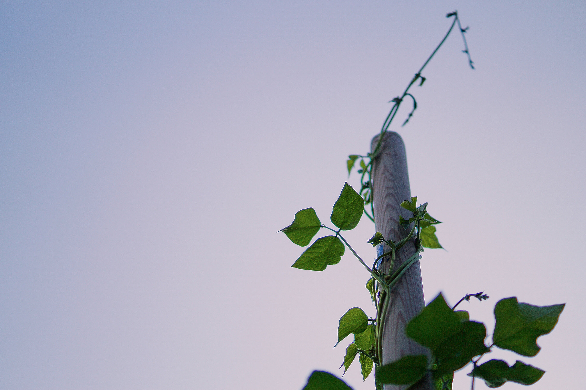 Sony SLT-A58 + Sony DT 35mm F1.8 SAM sample photo. Intosky photography