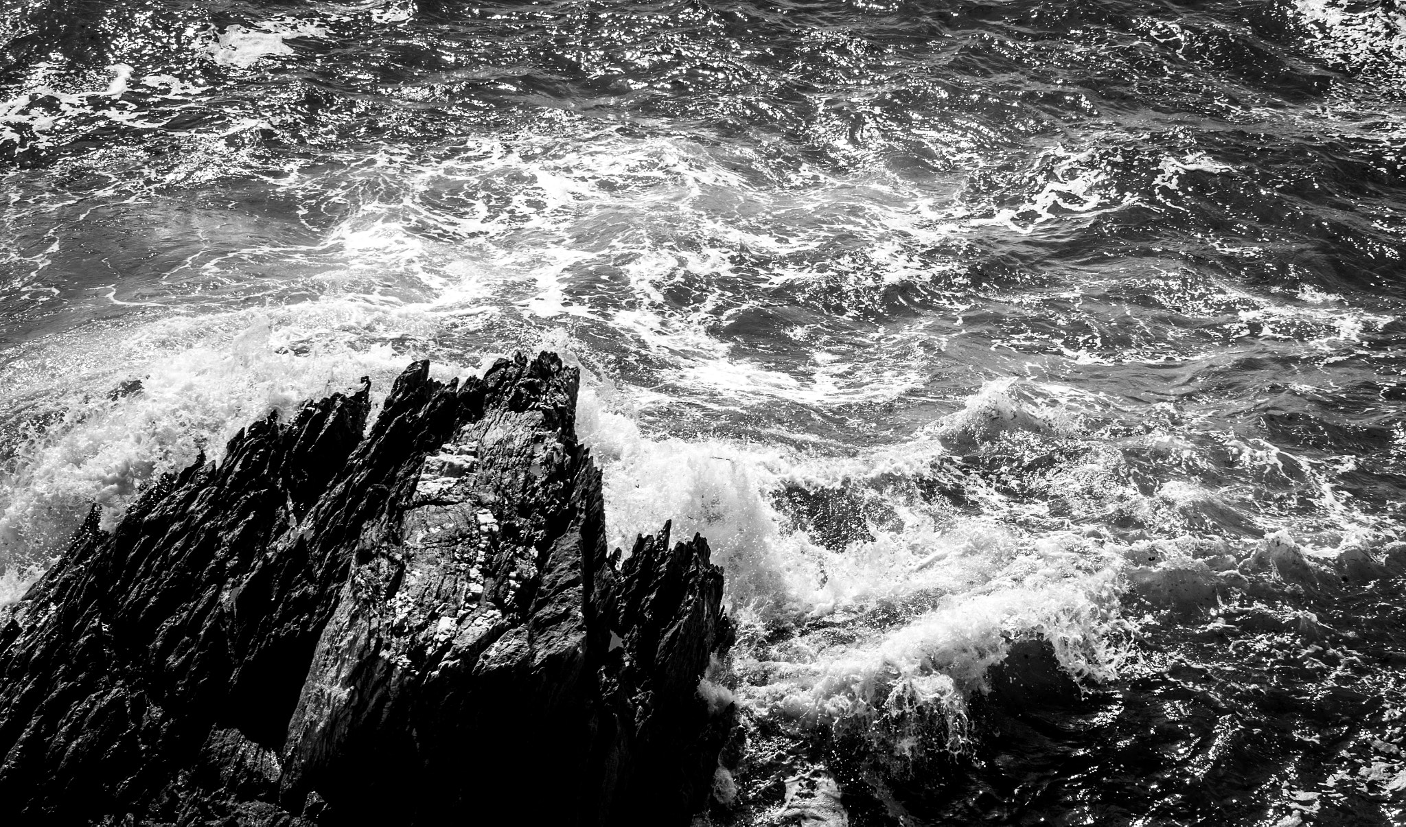 smc PENTAX-FA 80-320mm F4.5-5.6 sample photo. Brest photography