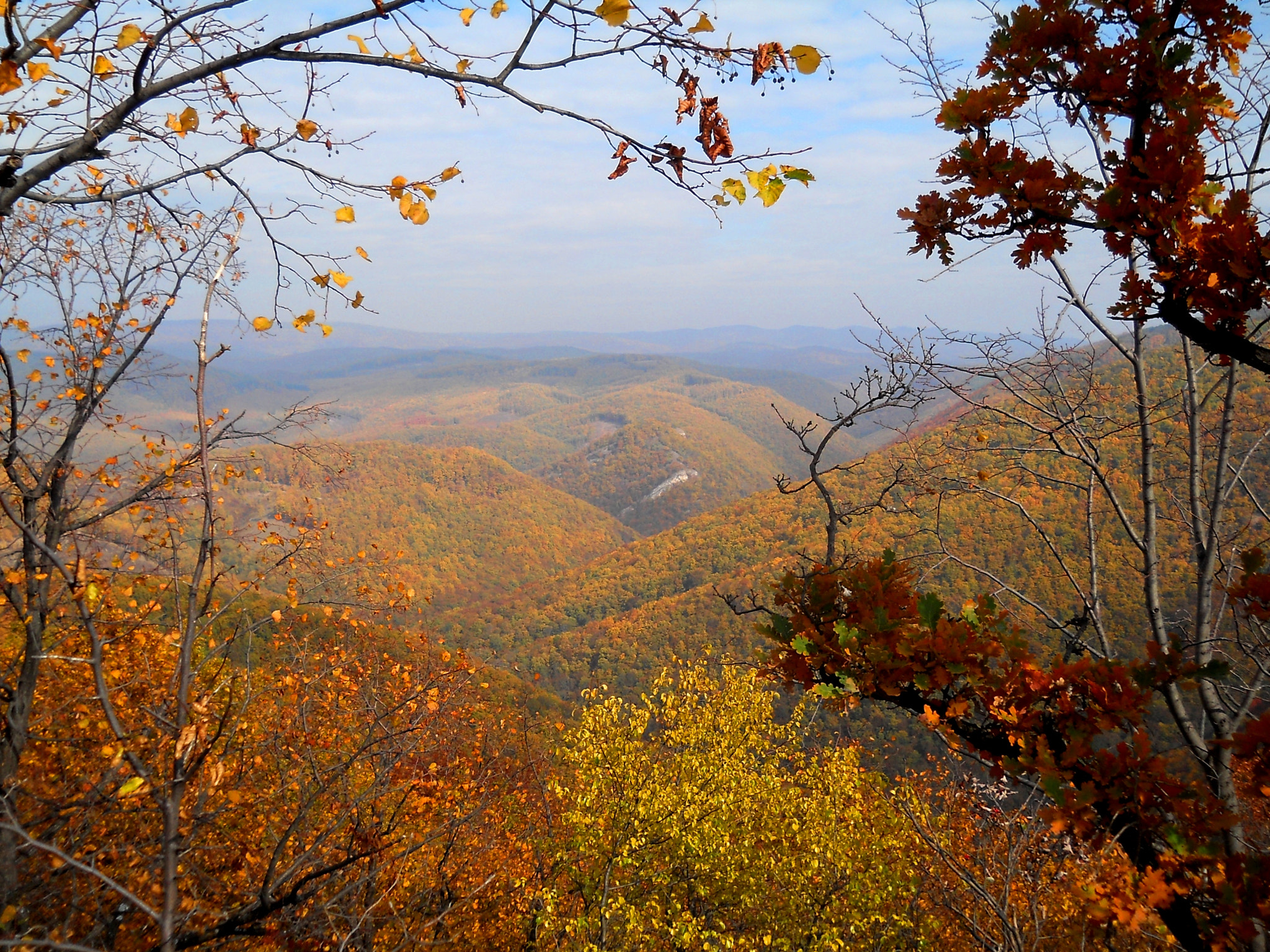 Nikon Coolpix L21 sample photo. Autumn landscape photography