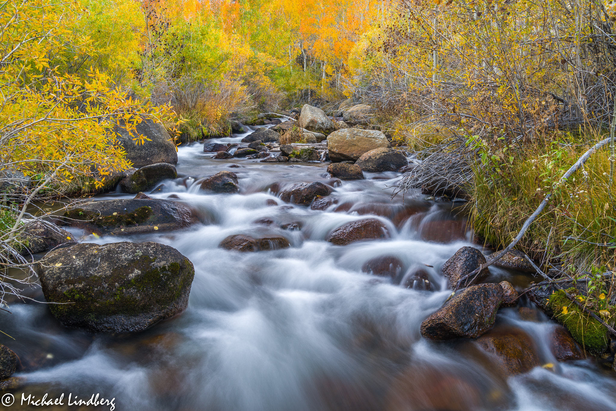 Pentax K-1 sample photo. Autumn rush photography