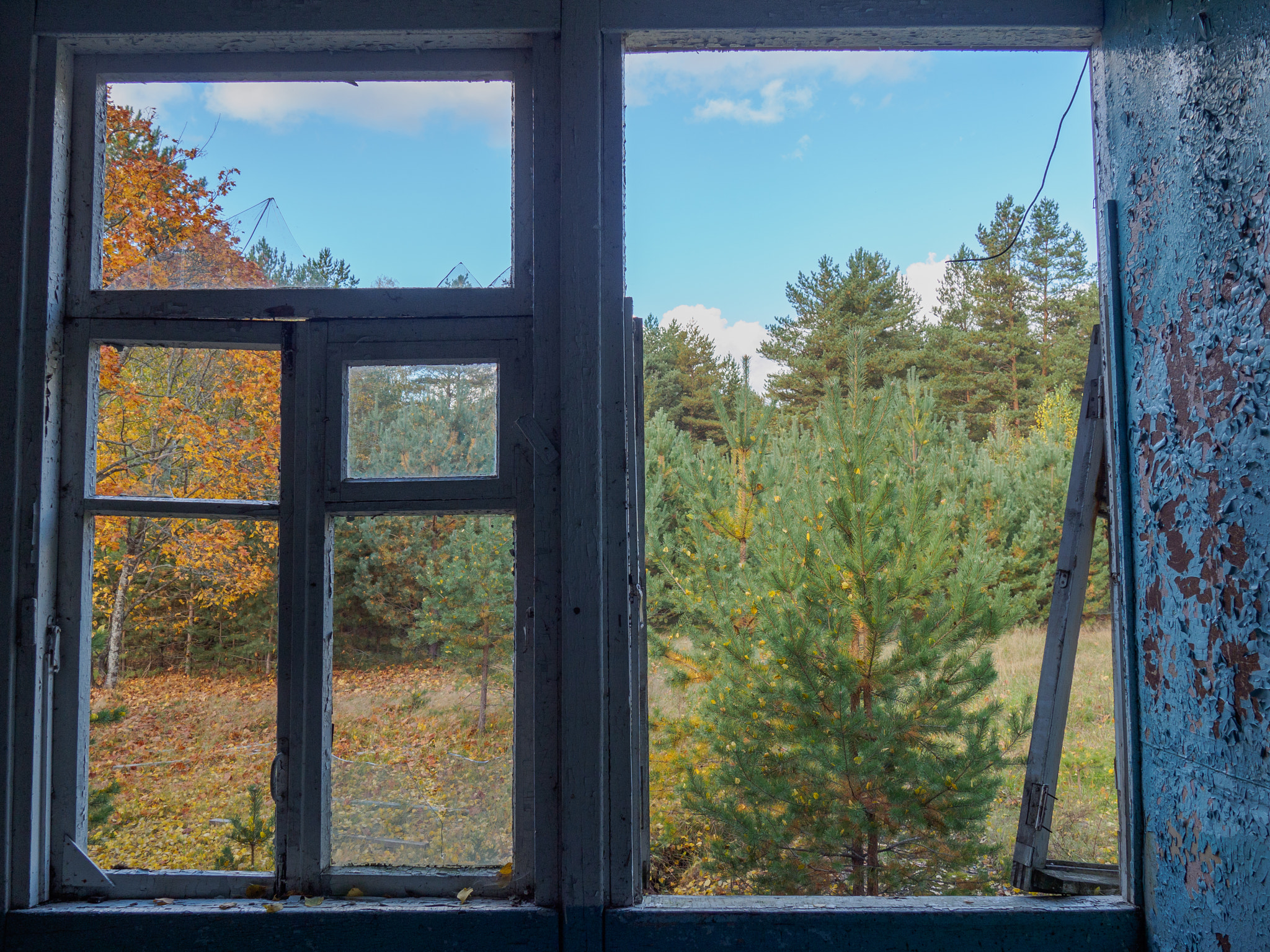 LUMIX G VARIO 14-42/F3.5-5.6 II sample photo. Autumn through the window photography