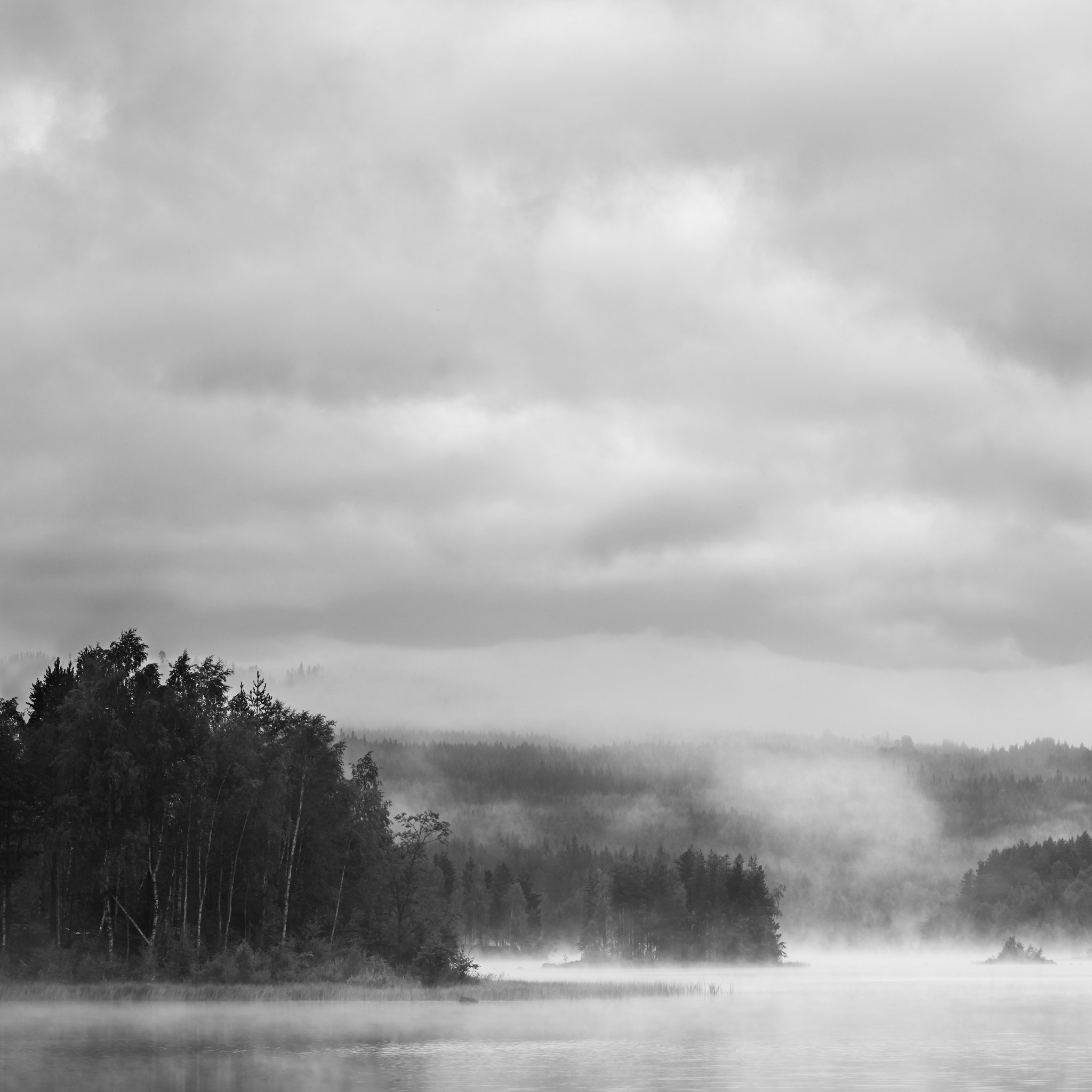 Leica S (TYP 006) sample photo. Morning fog photography