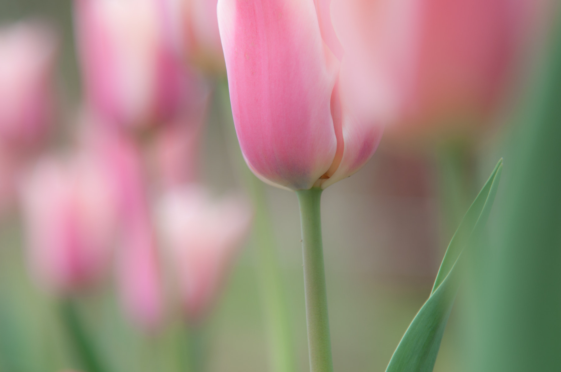Nikon AF-S Nikkor 24-120mm F4G ED VR sample photo