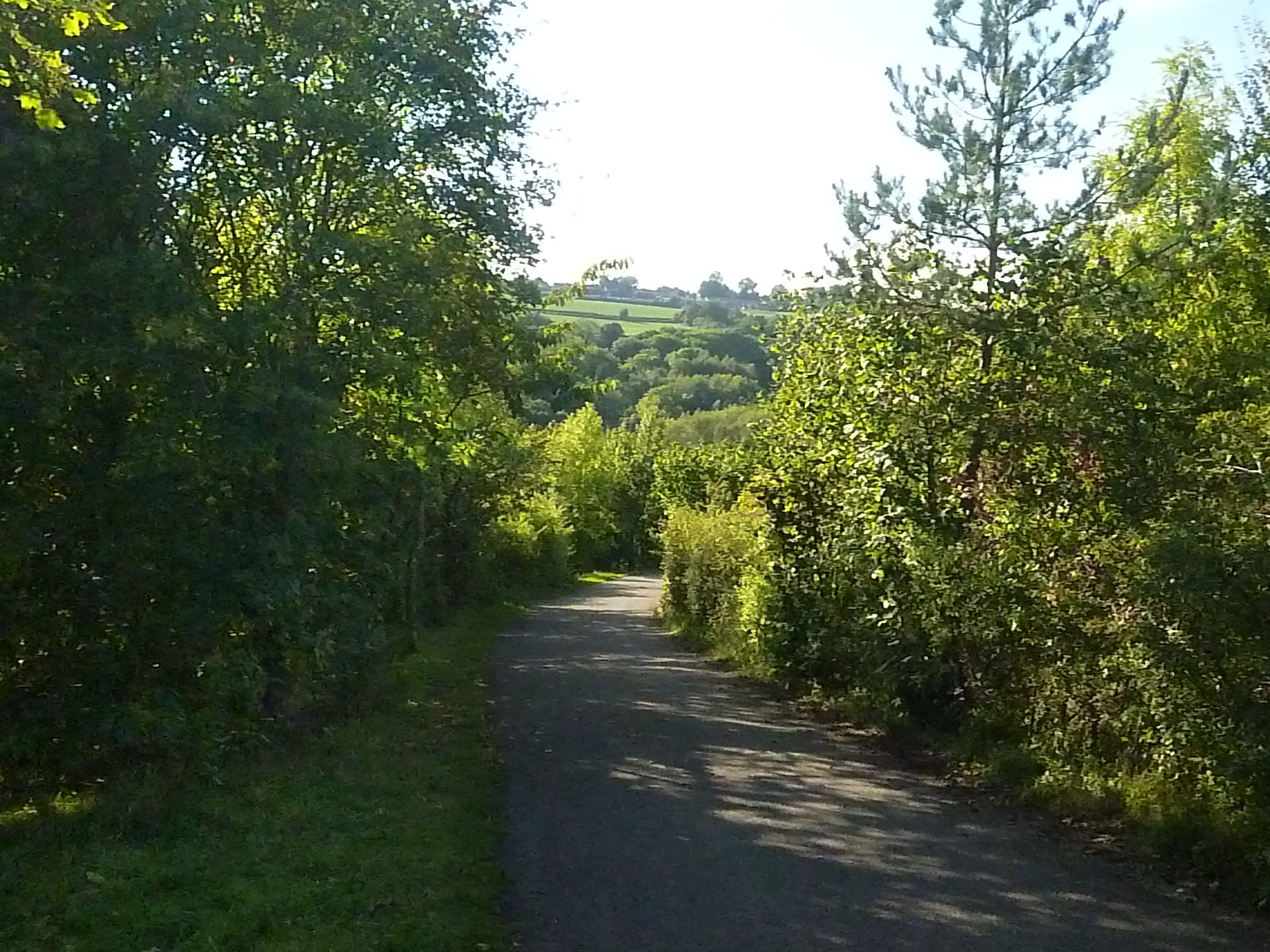 Panasonic DMC-FH5 sample photo. River severn photography